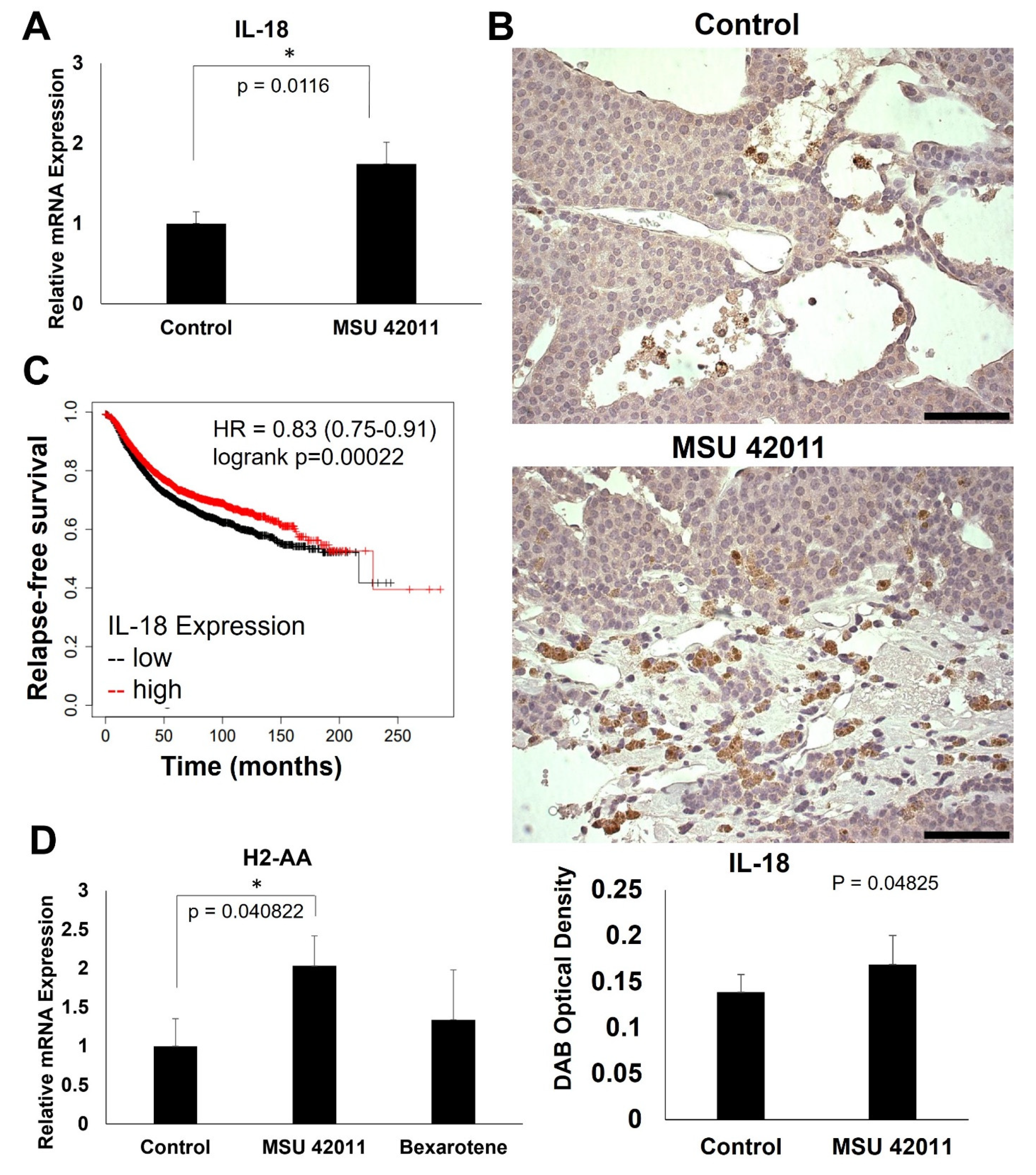 Ijms 24 04298 g006 Ijms 24 04298 g006