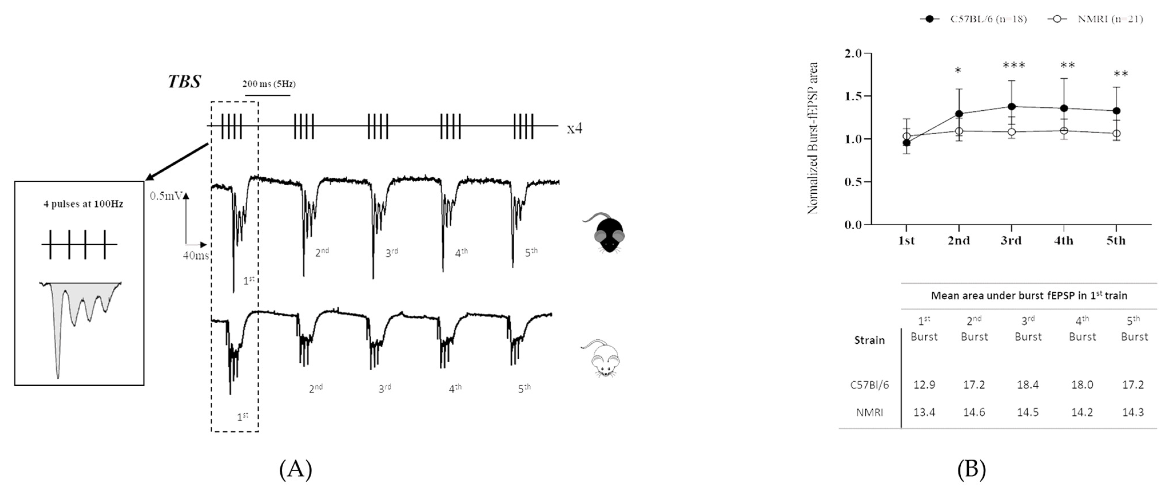 Ijms 24 04304 g003 Ijms 24 04304 g003