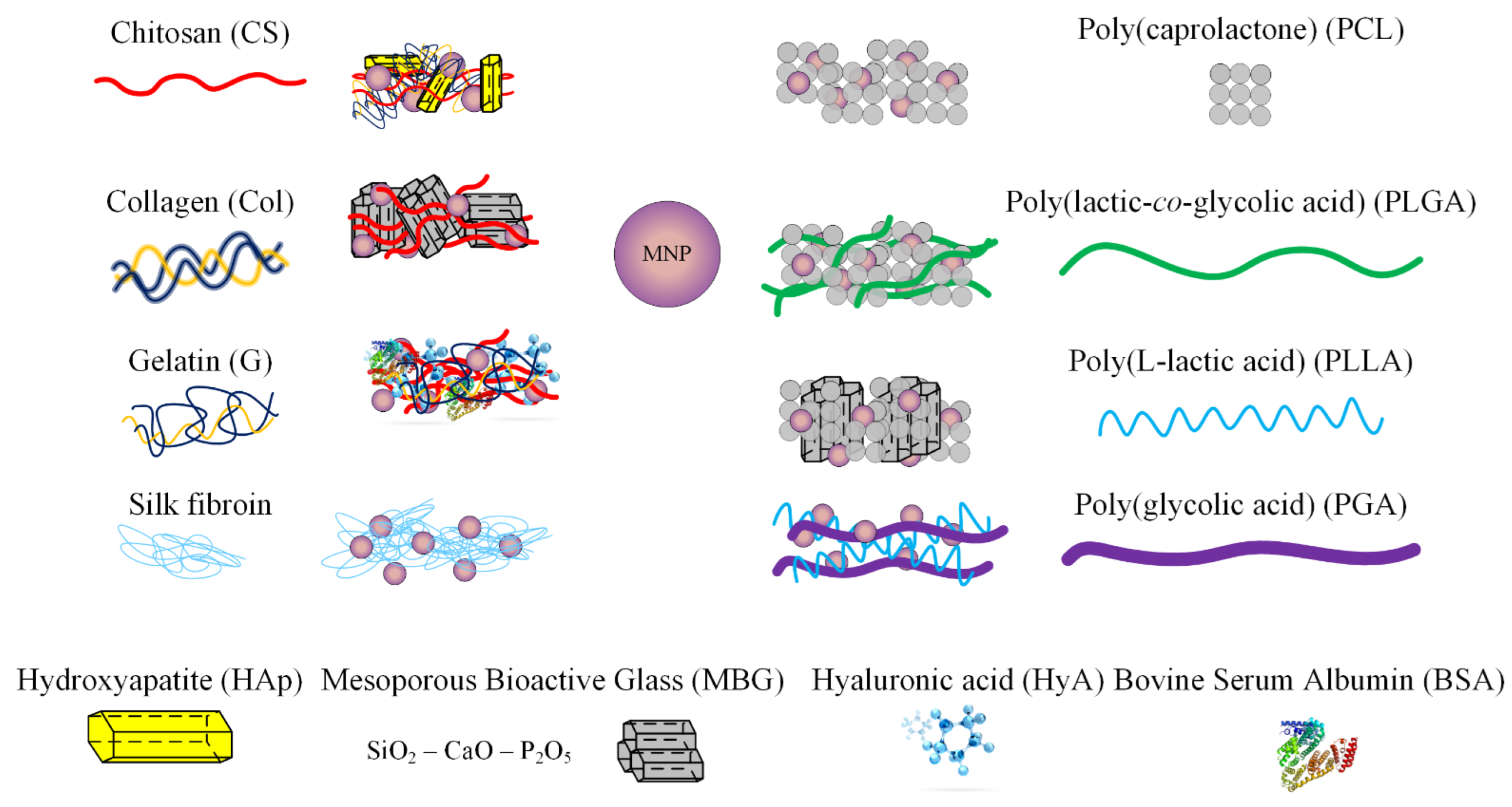 IJMS | Free Full-Text | A Review of Biomimetic and Biodegradable Magnetic  Scaffolds for Bone Tissue Engineering and Oncology