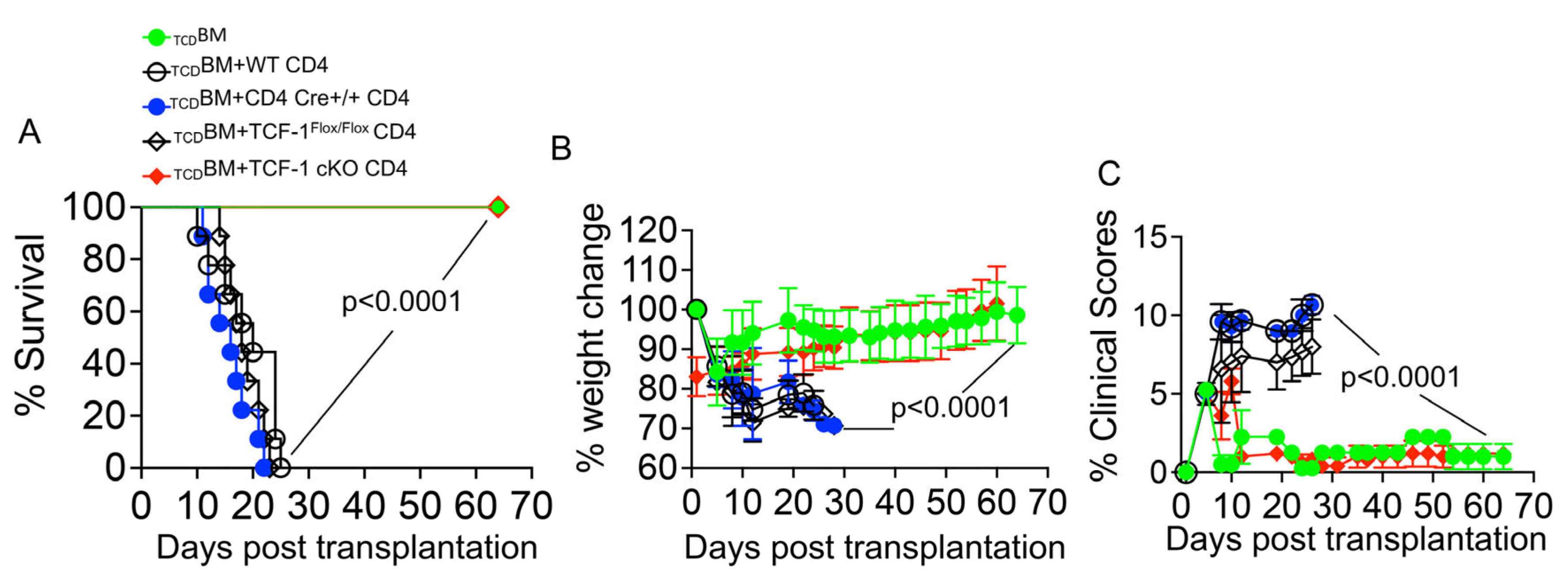 Ijms 24 04326 g002 Ijms 24 04326 g002