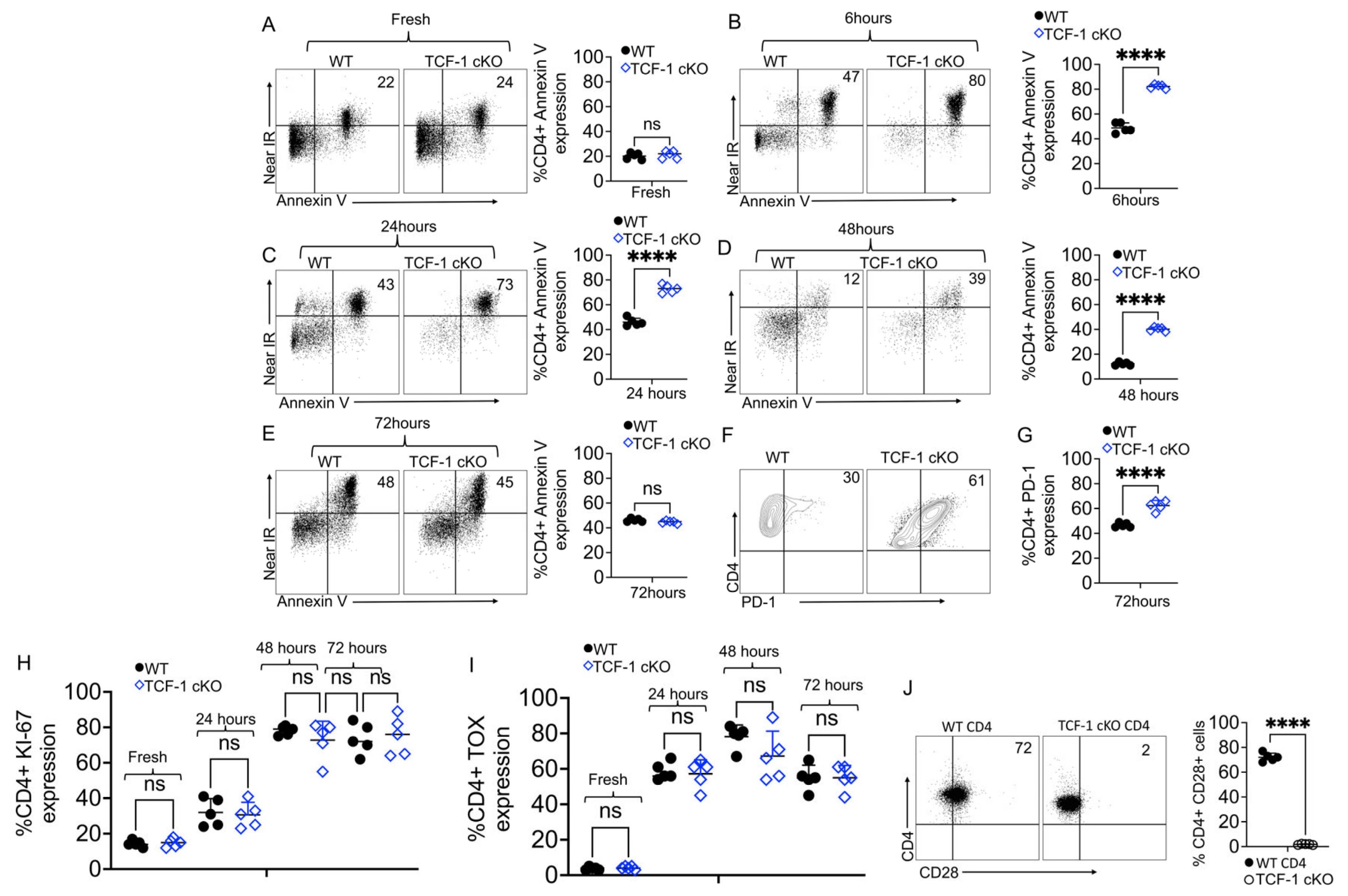 Ijms 24 04326 g005 Ijms 24 04326 g005