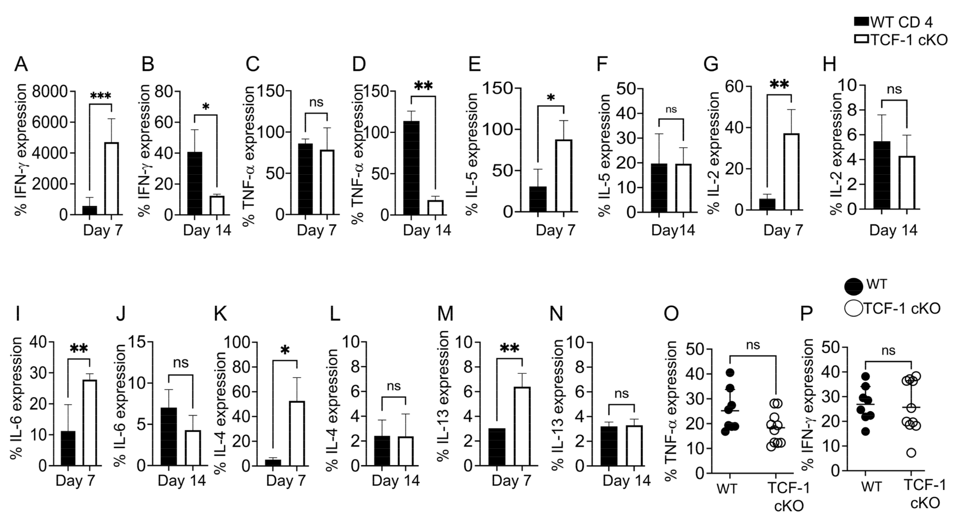 Ijms 24 04326 g007 Ijms 24 04326 g007
