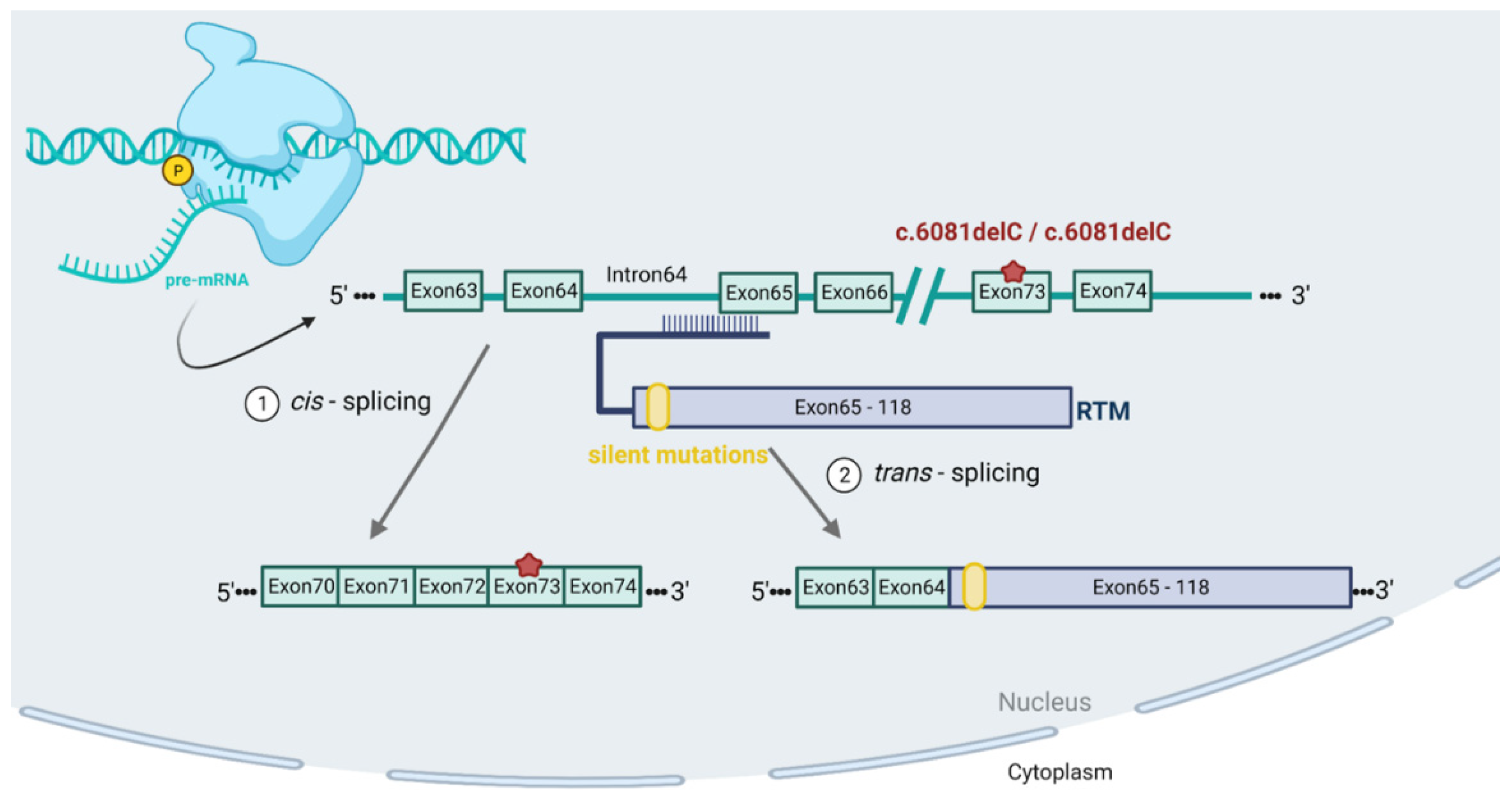 Ijms 24 04341 g001 Ijms 24 04341 g001