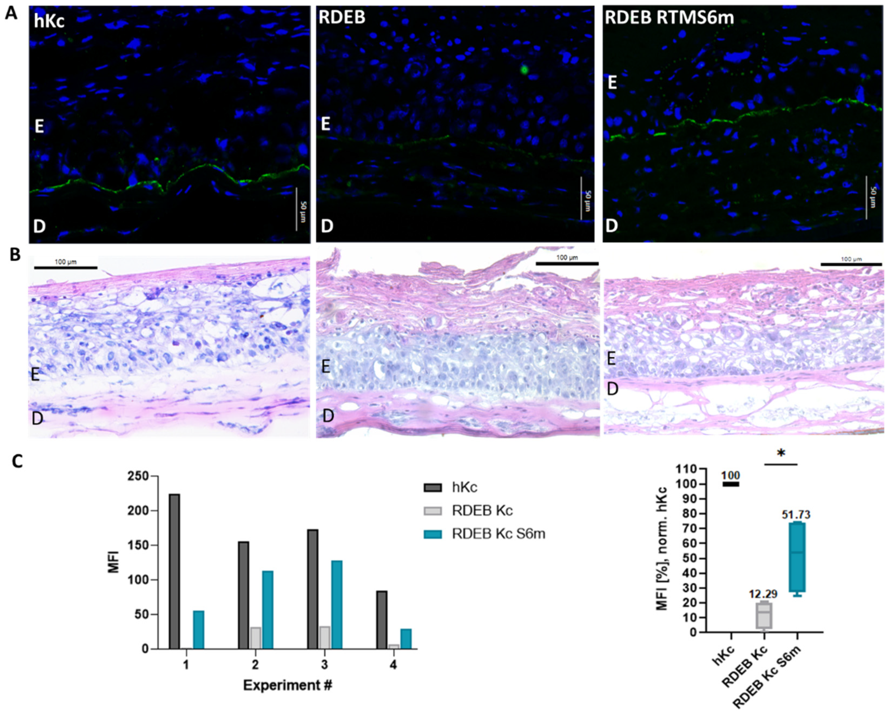 Ijms 24 04341 g004 Ijms 24 04341 g004