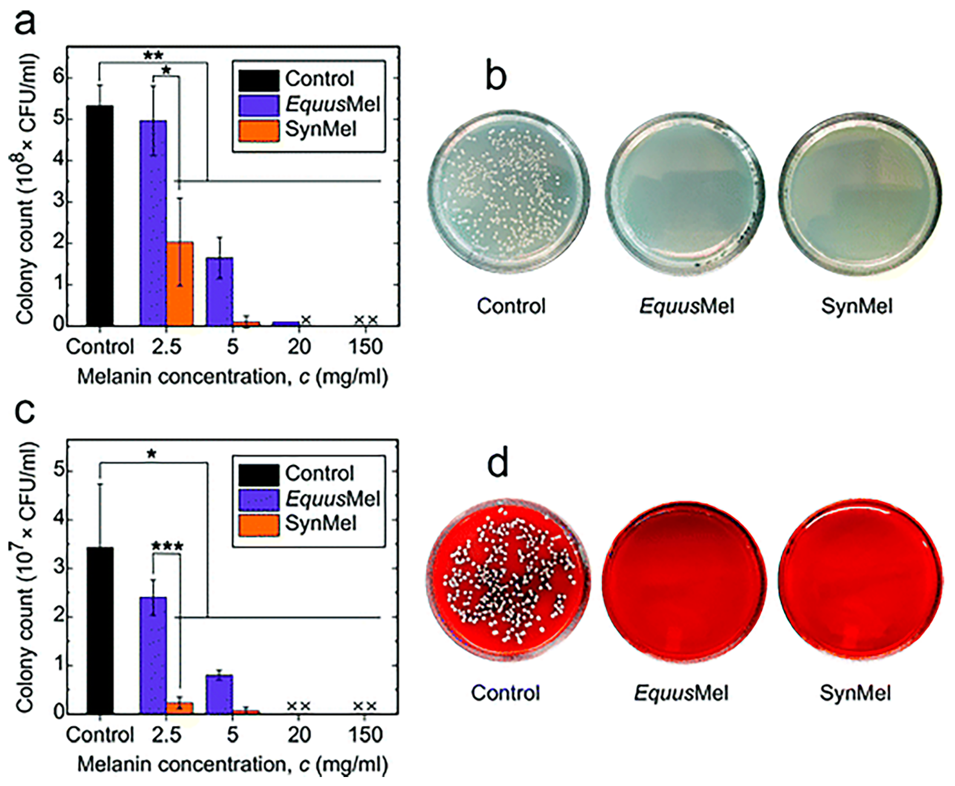 Ijms 24 04360 g005 Ijms 24 04360 g005