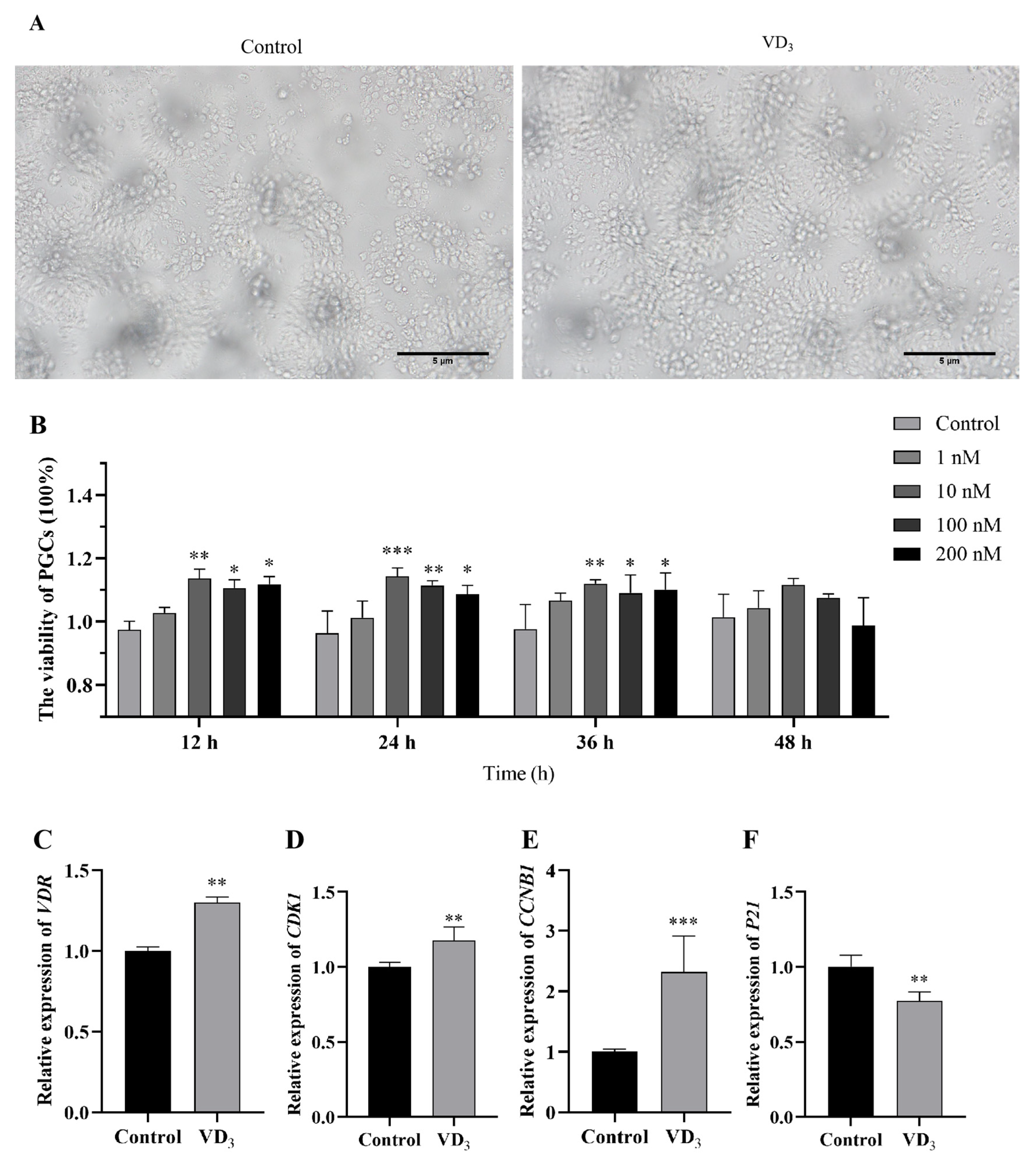 Ijms 24 04364 g001 Ijms 24 04364 g001