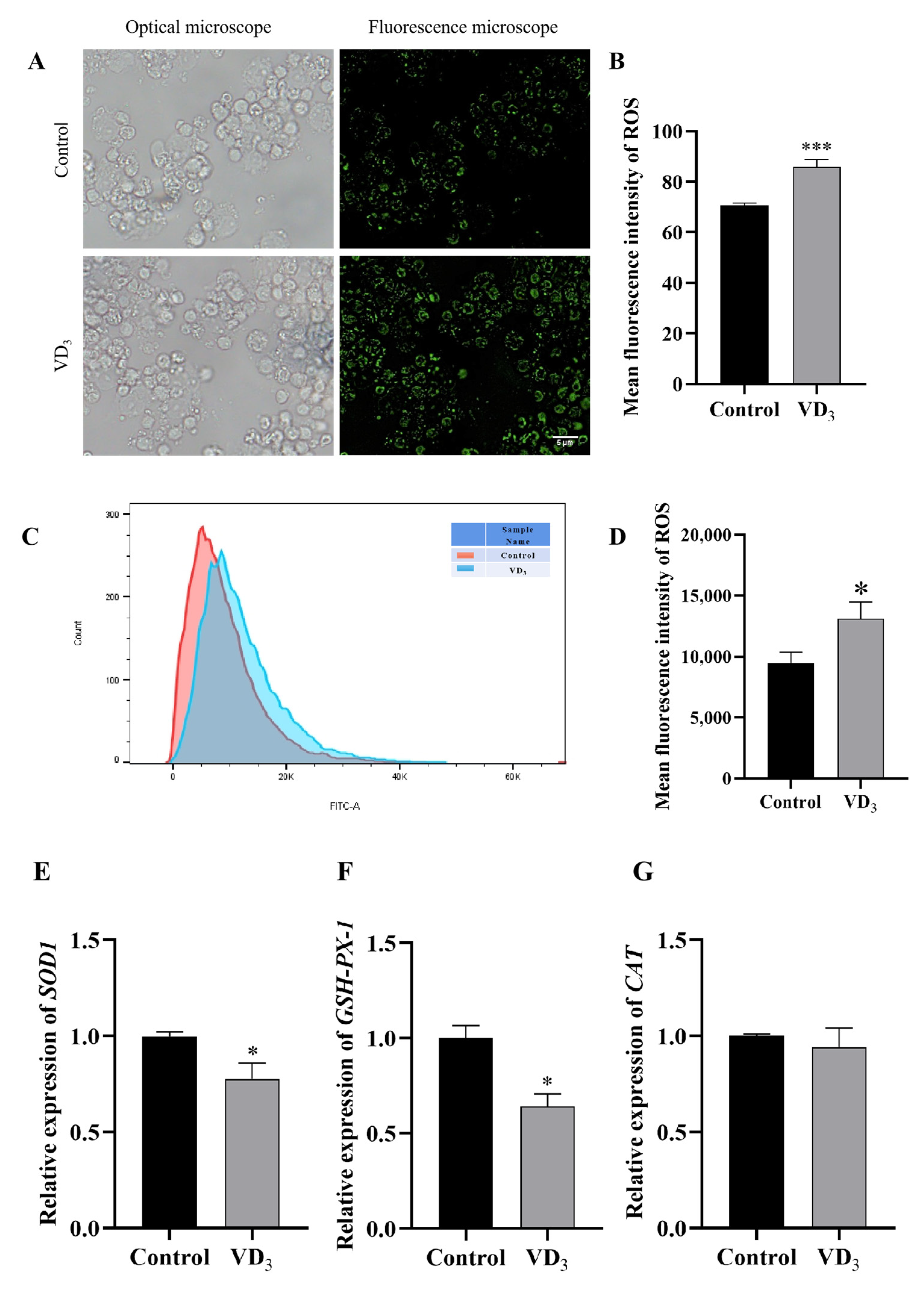 Ijms 24 04364 g002a Ijms 24 04364 g002a