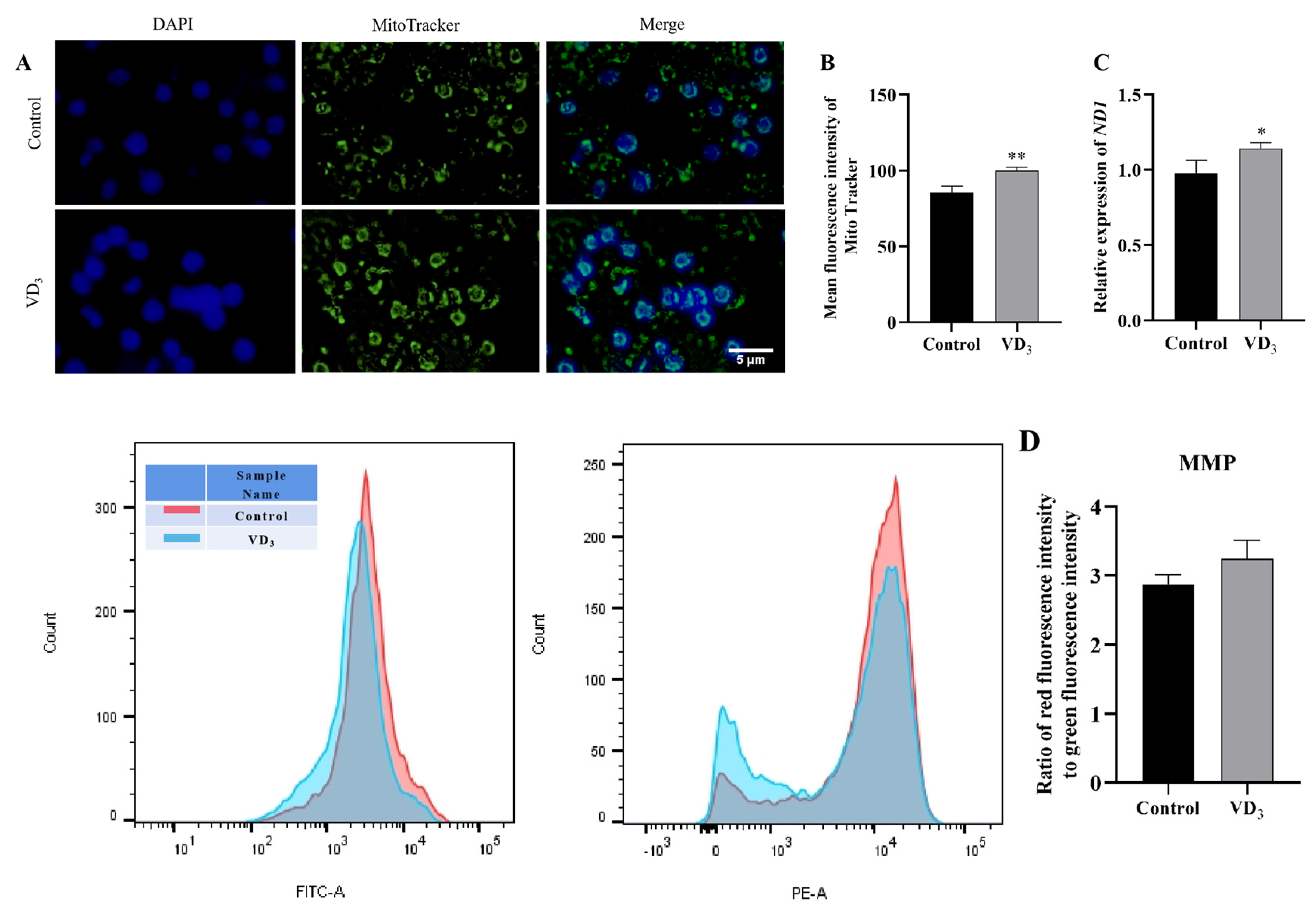 Ijms 24 04364 g003 Ijms 24 04364 g003