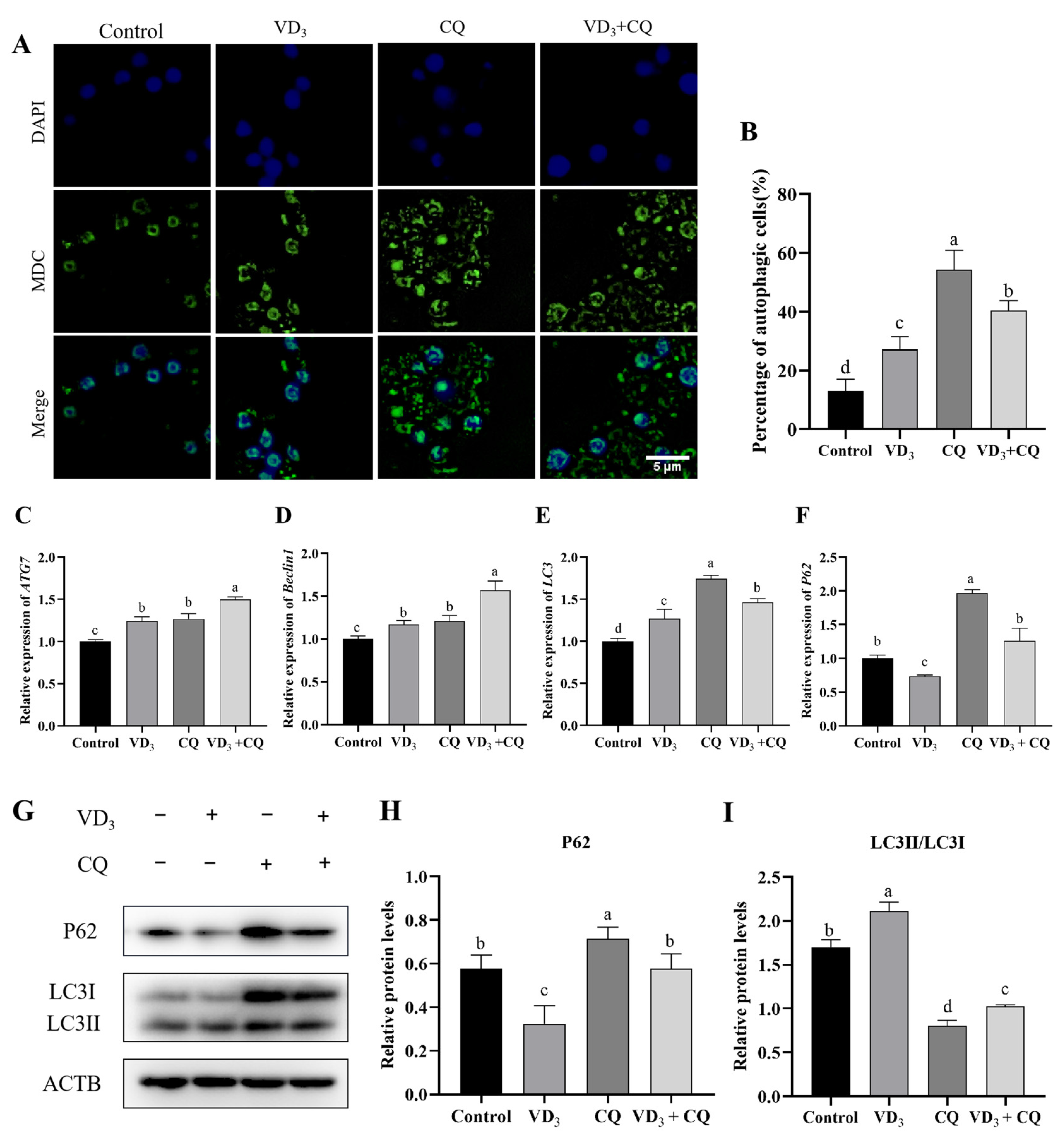 Ijms 24 04364 g004 Ijms 24 04364 g004