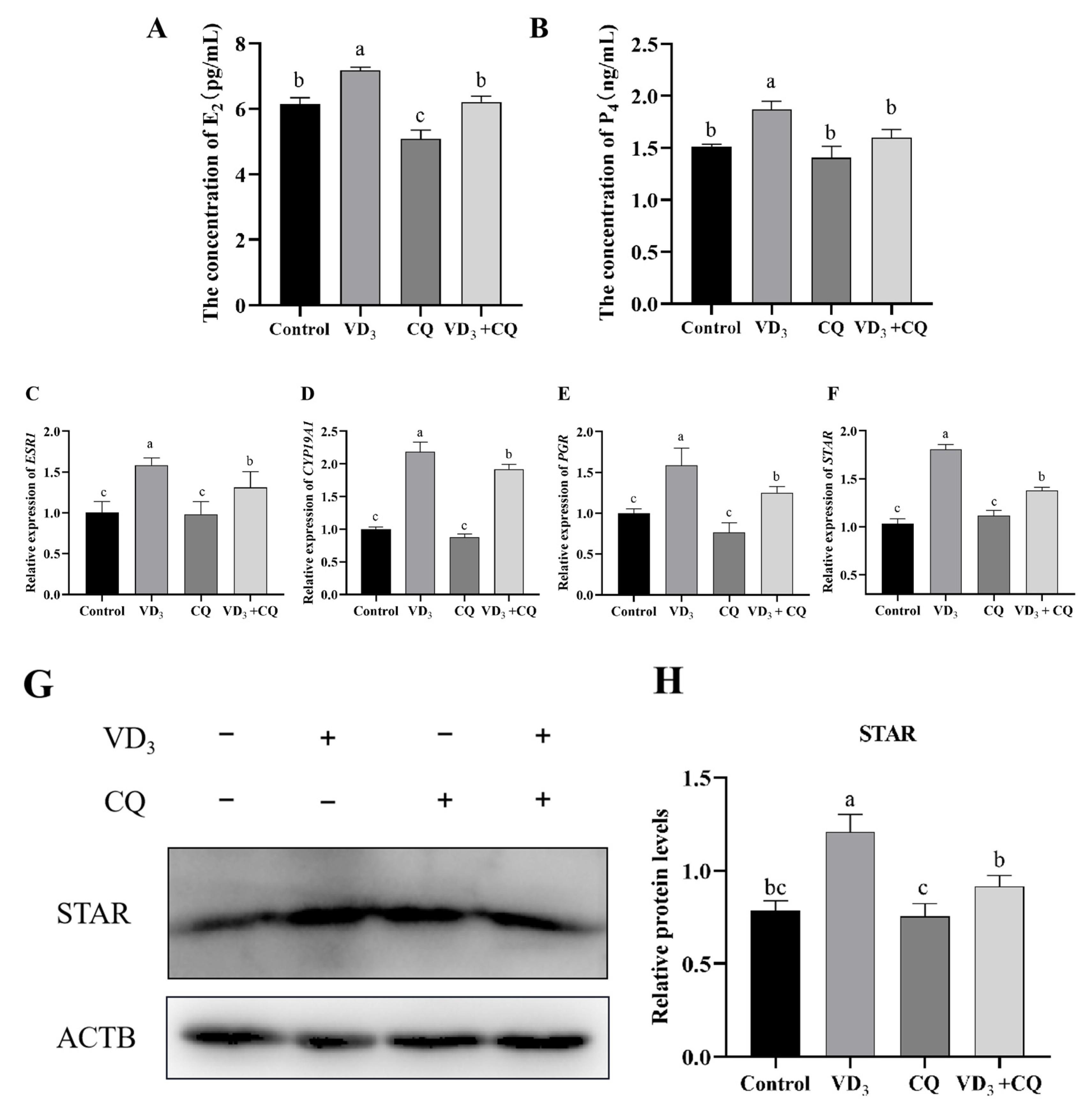Ijms 24 04364 g005 Ijms 24 04364 g005