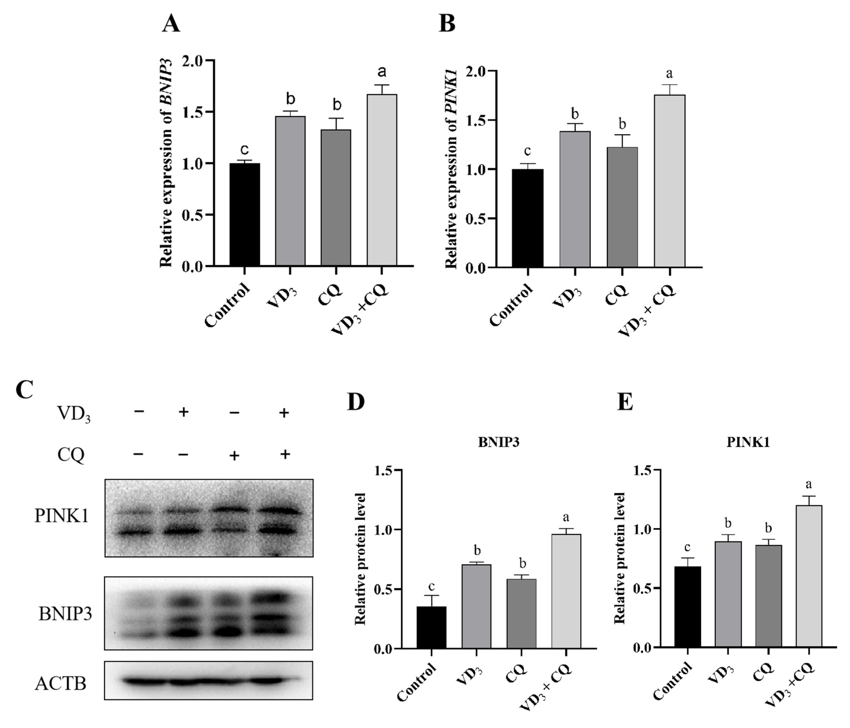 Ijms 24 04364 g007a Ijms 24 04364 g007a
