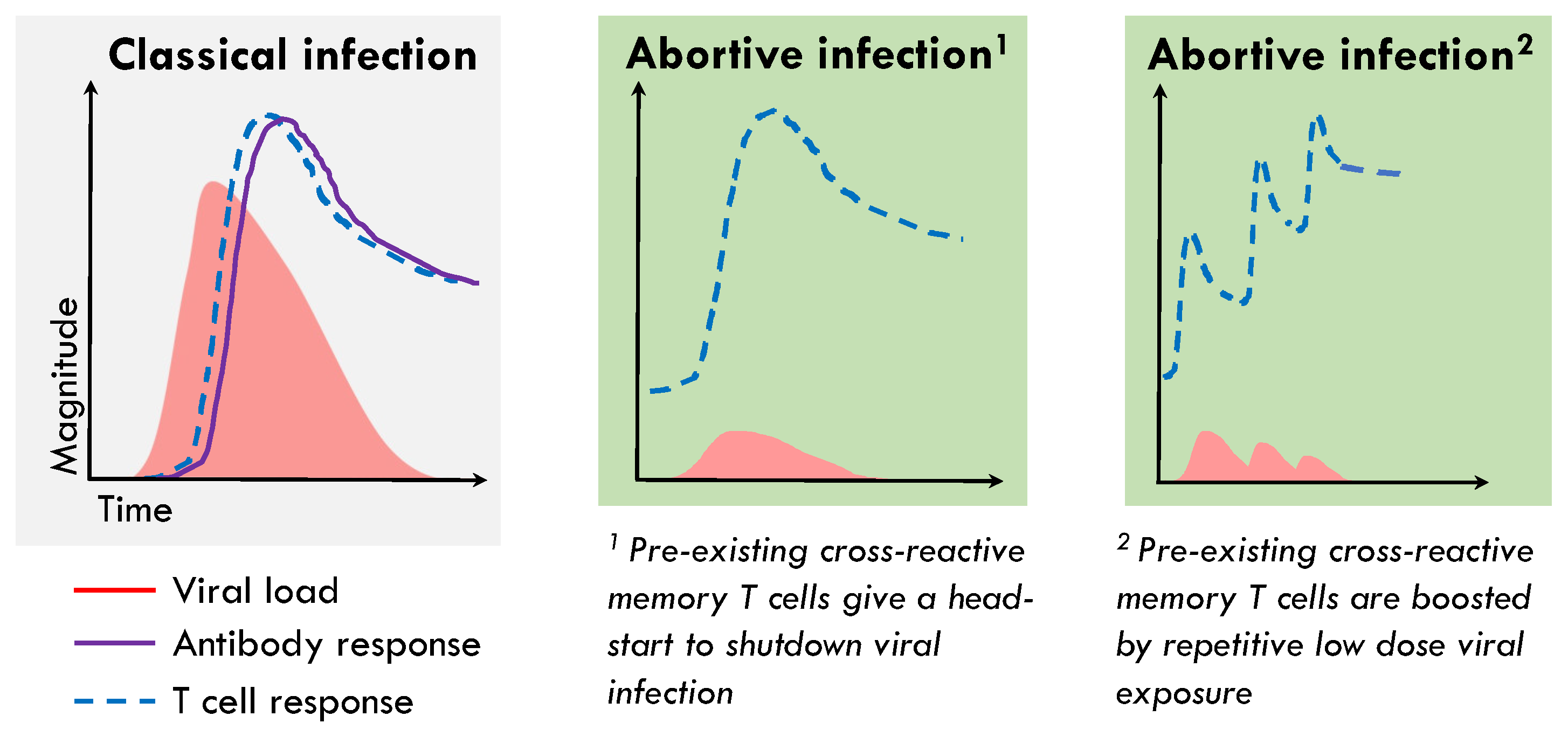 Ijms 24 04371 g002 Ijms 24 04371 g002