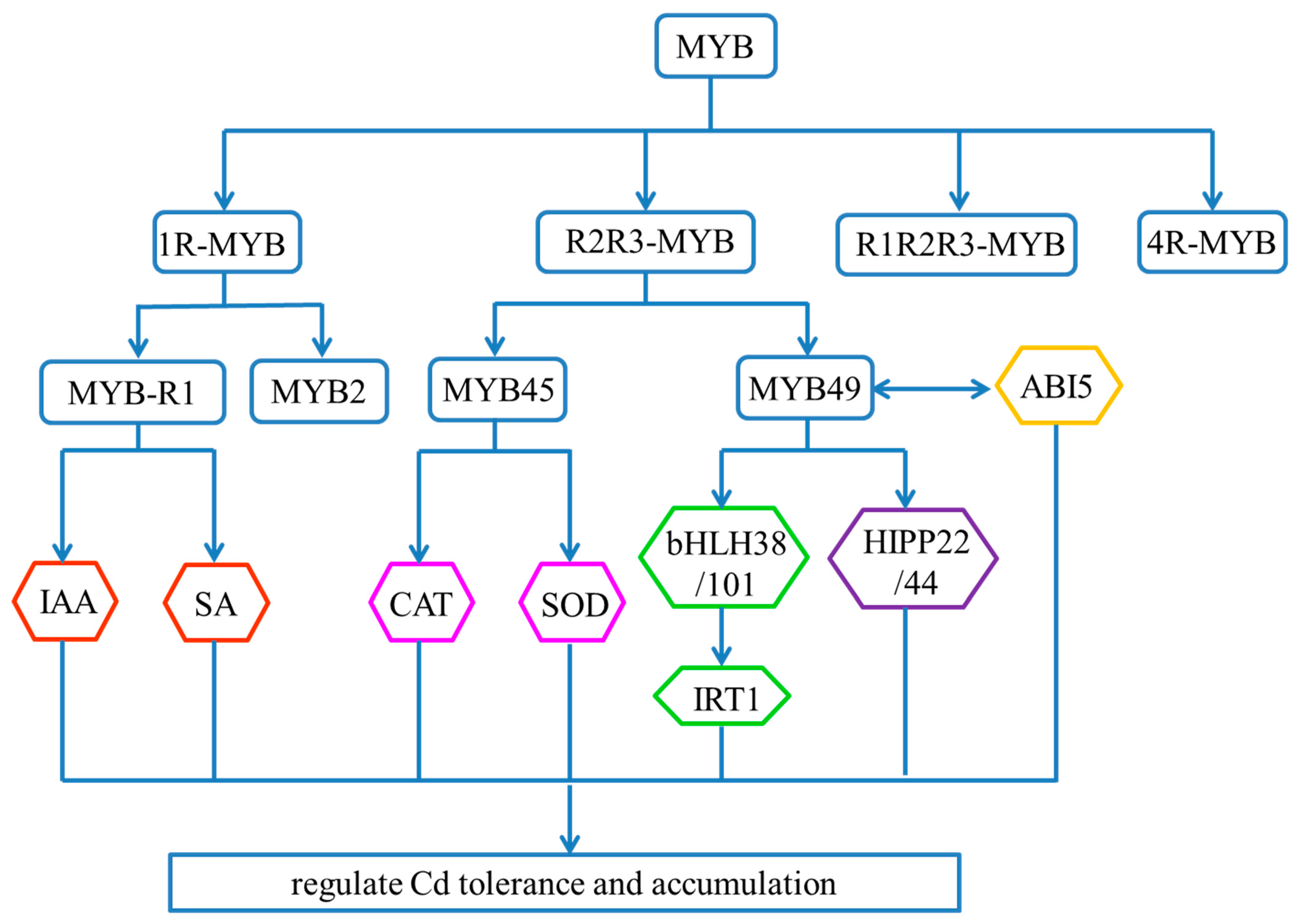 Ijms 24 04378 g003 Ijms 24 04378 g003
