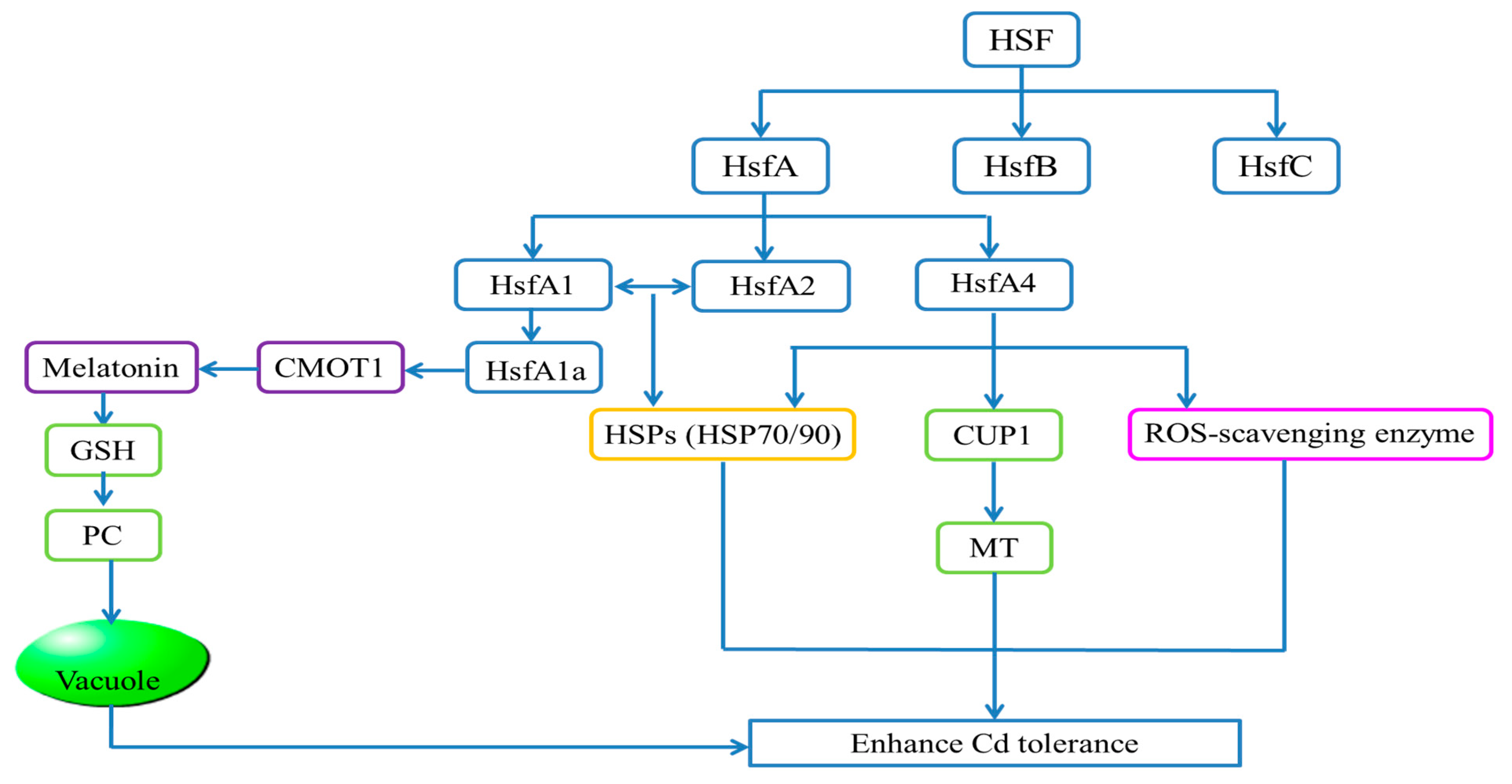 Ijms 24 04378 g004 Ijms 24 04378 g004
