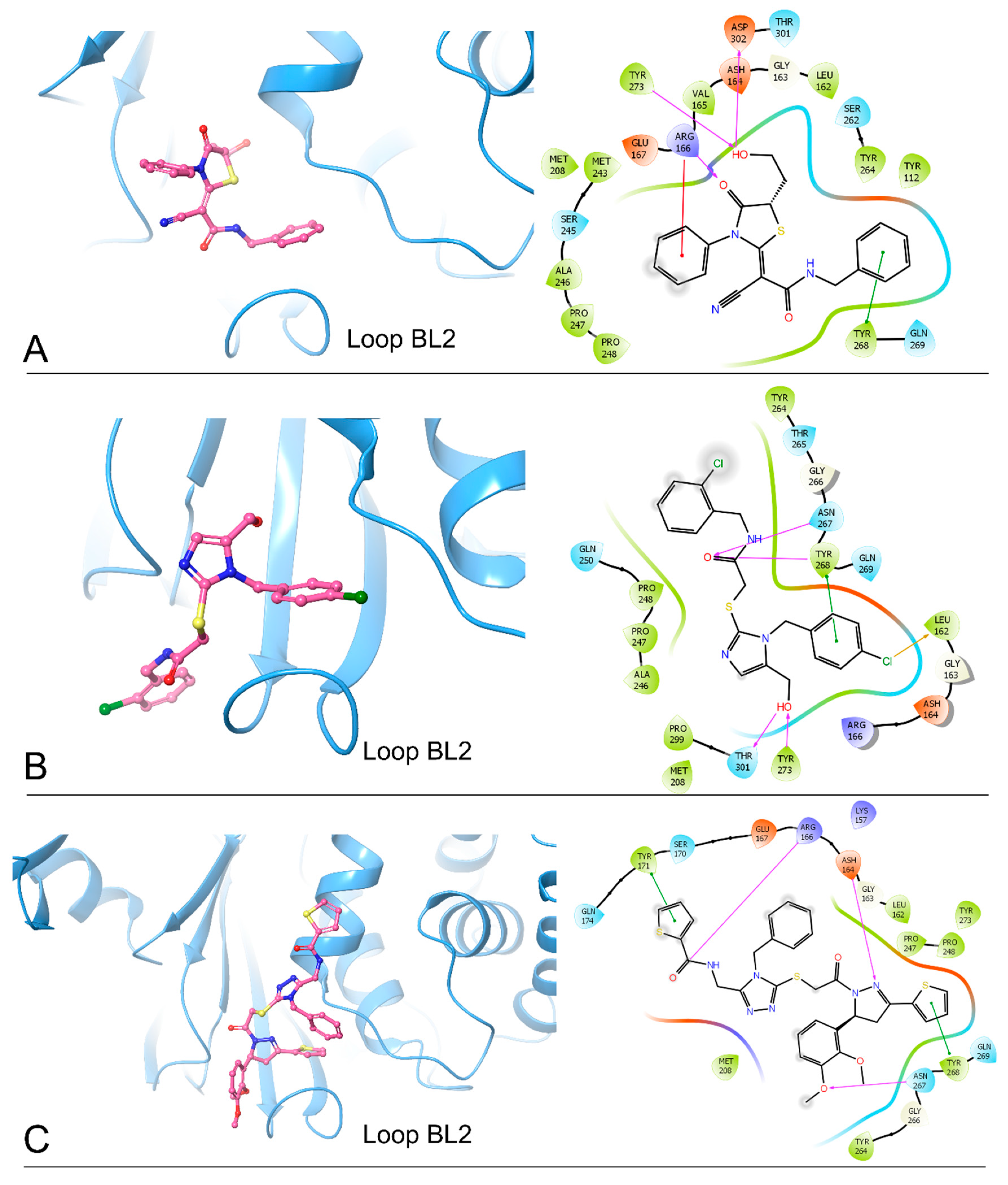 Ijms 24 04397 g001 Ijms 24 04397 g001