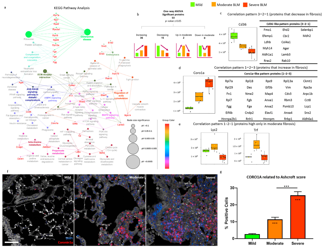 Ijms 24 04410 g004 Ijms 24 04410 g004