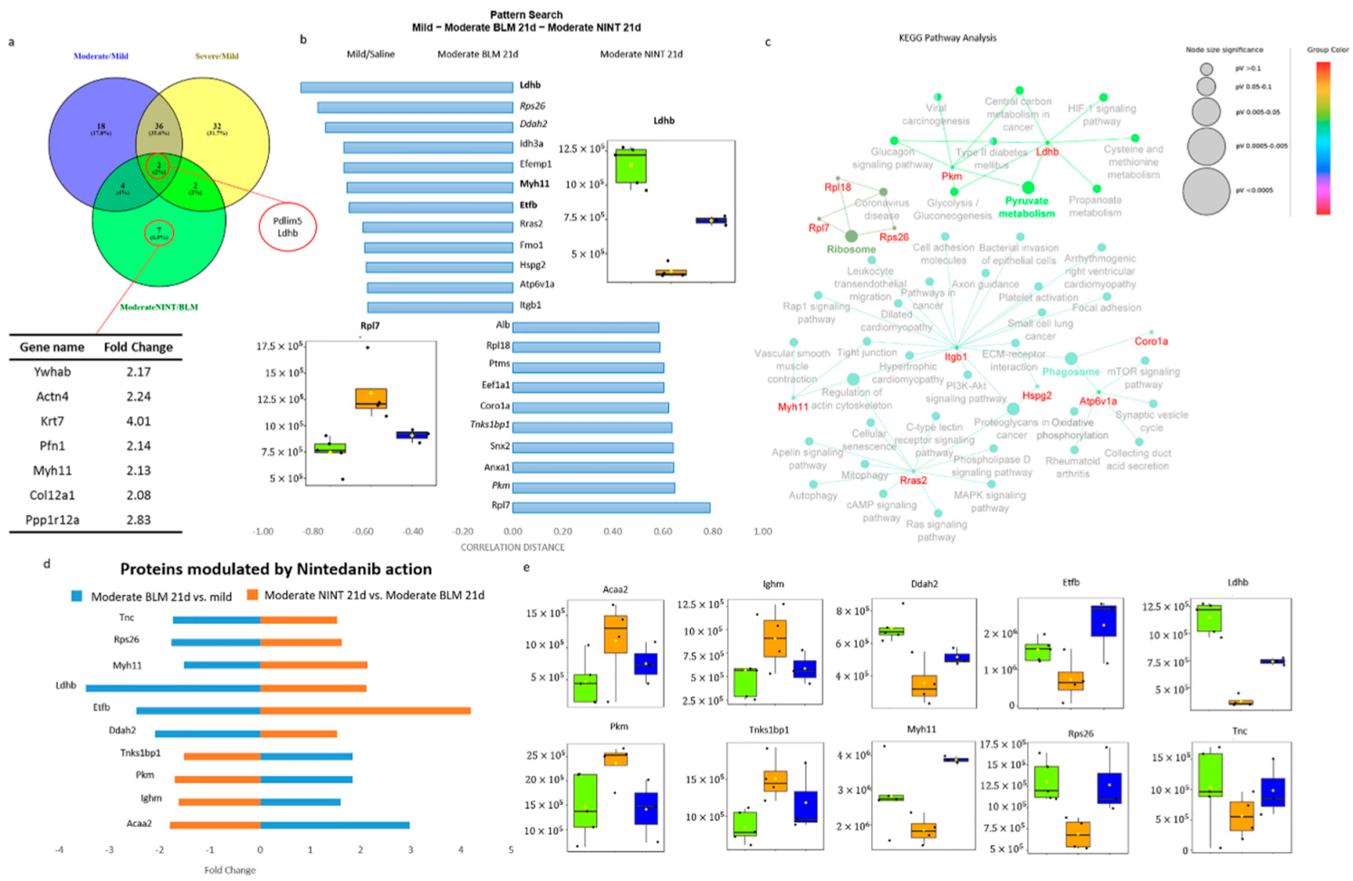 Ijms 24 04410 g005 Ijms 24 04410 g005