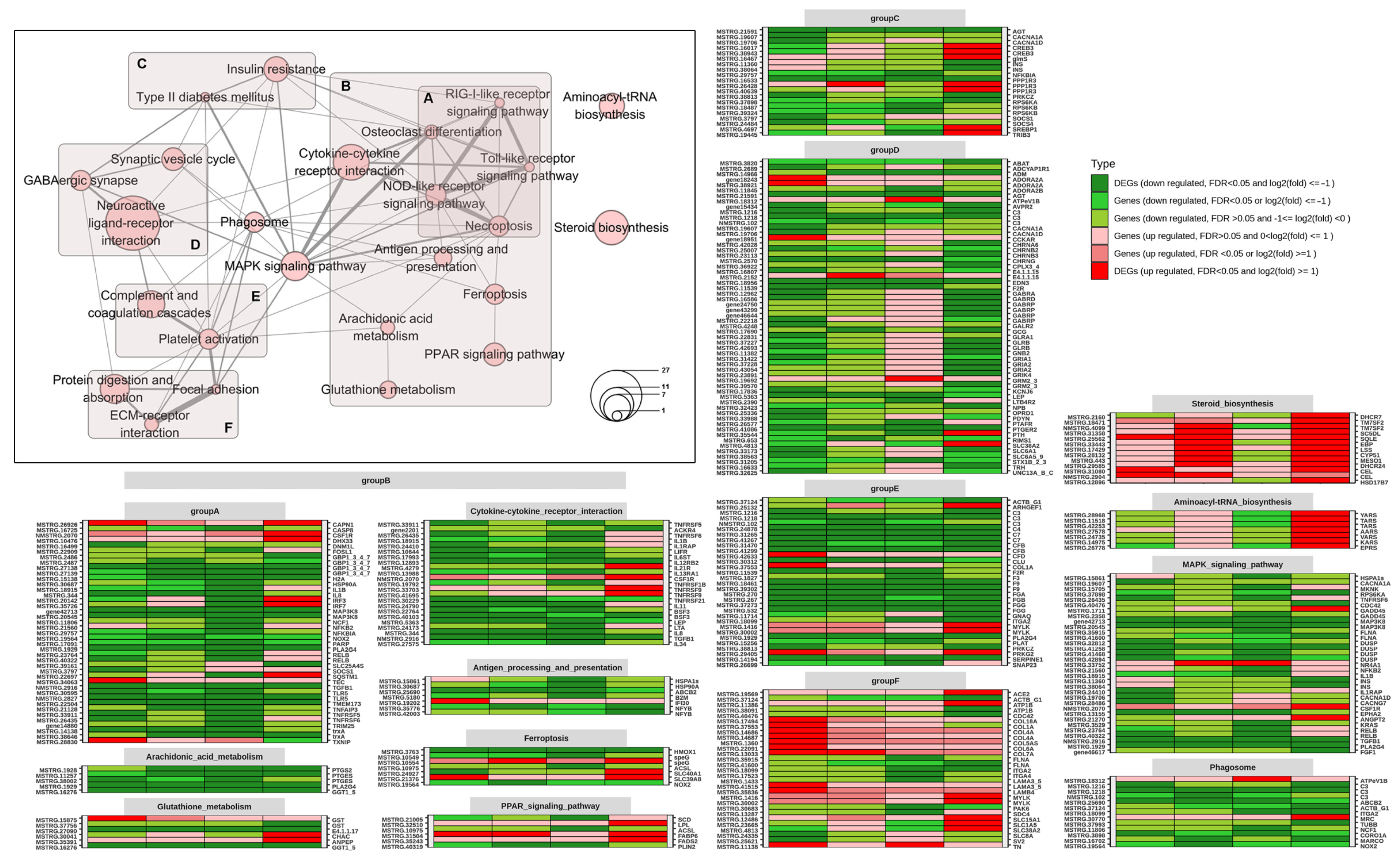 Ijms 24 04427 g003 Ijms 24 04427 g003