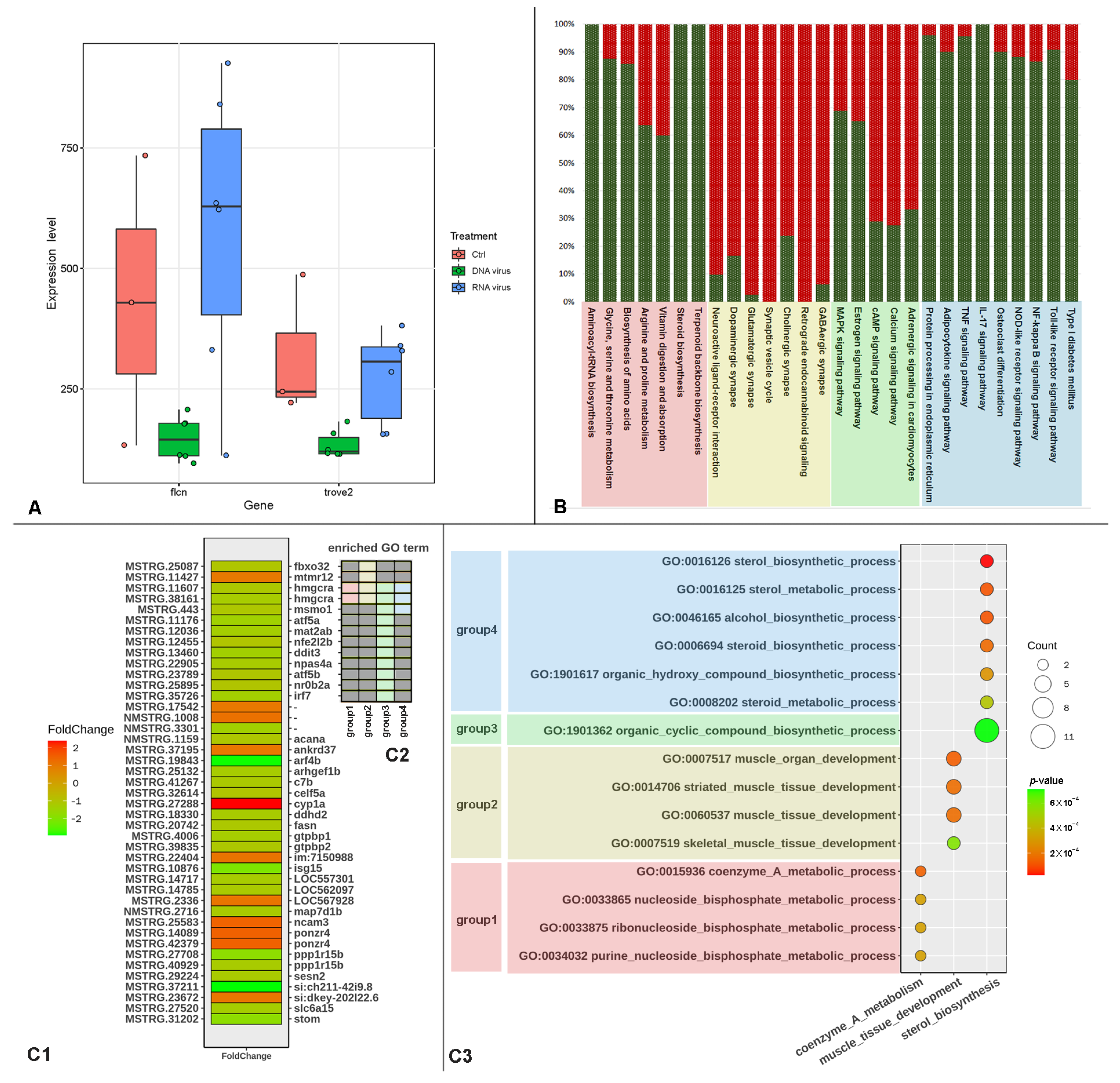 Ijms 24 04427 g004 Ijms 24 04427 g004