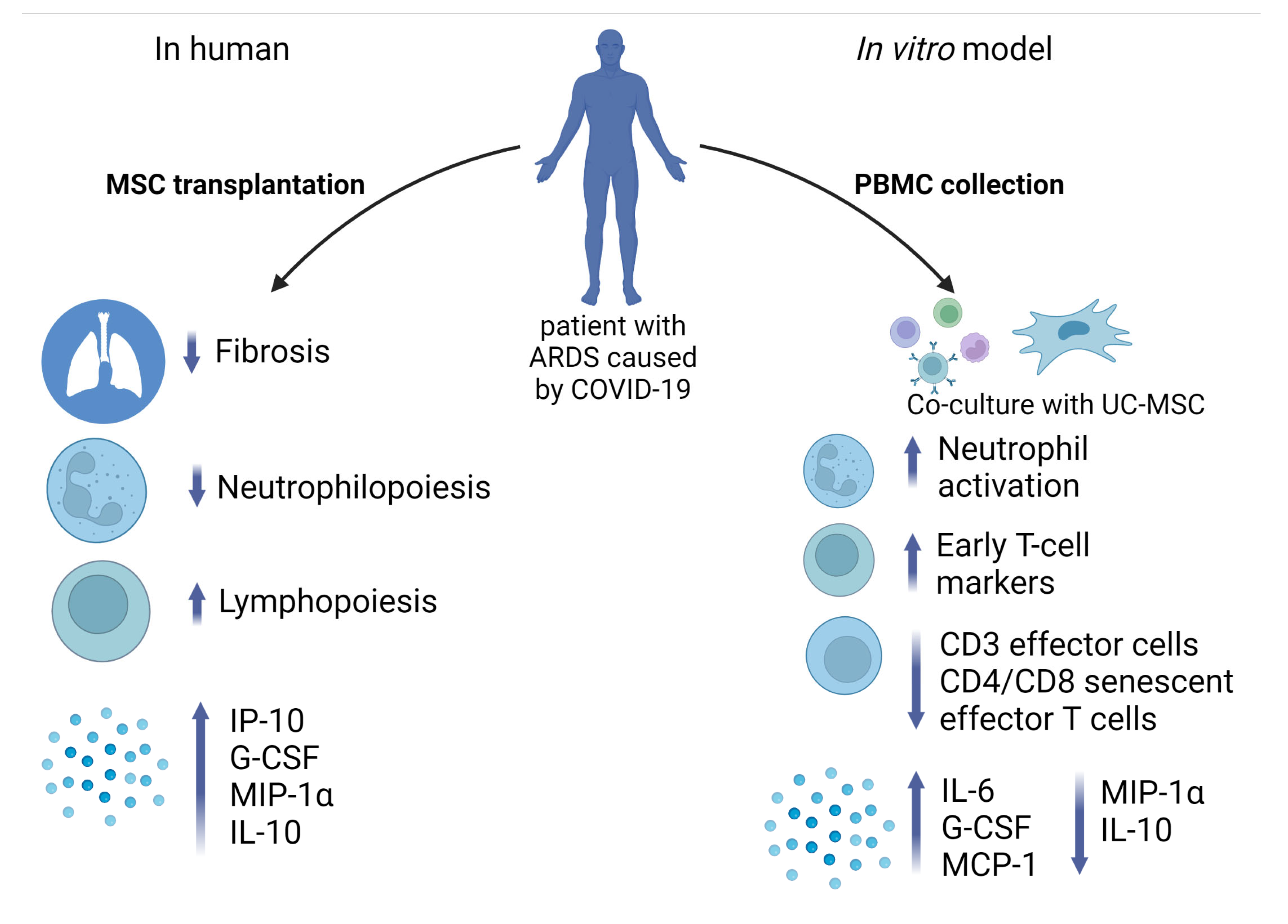 Ijms 24 04435 g007 Ijms 24 04435 g007