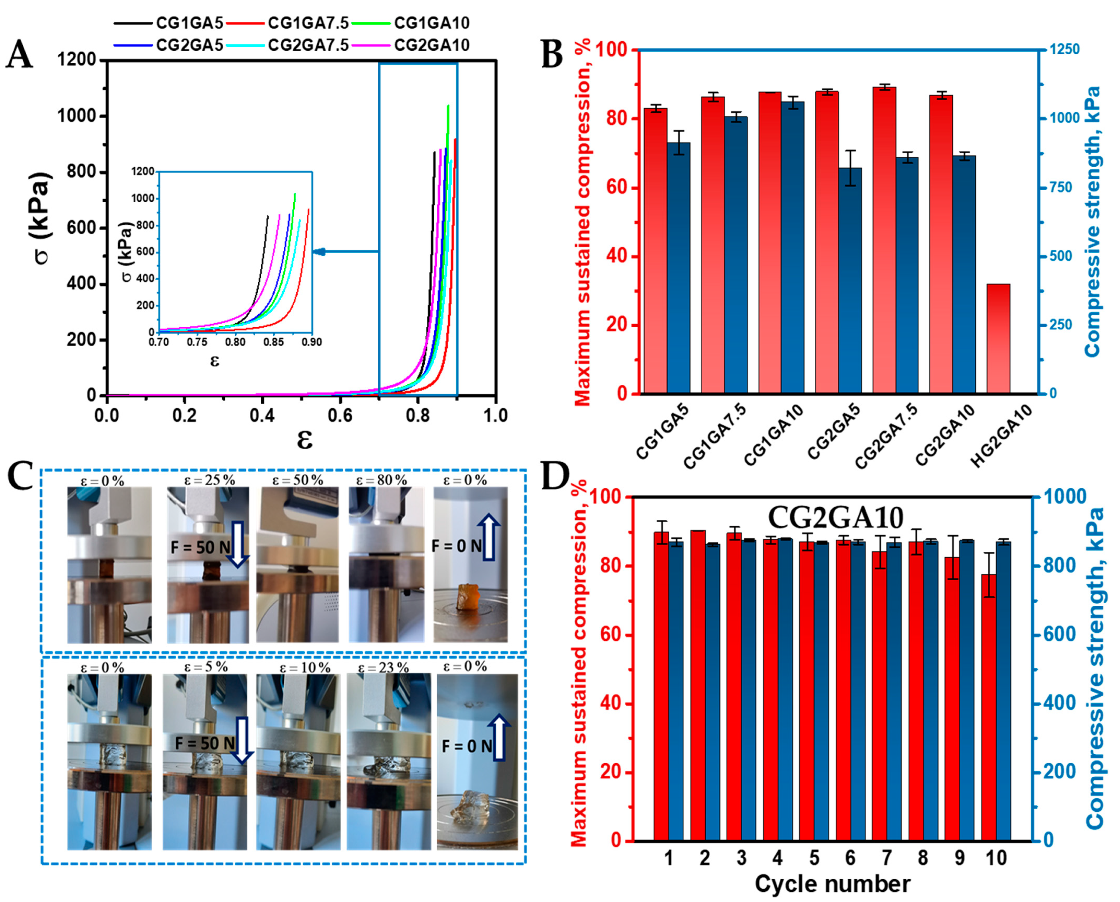 Ijms 24 04452 g004 Ijms 24 04452 g004
