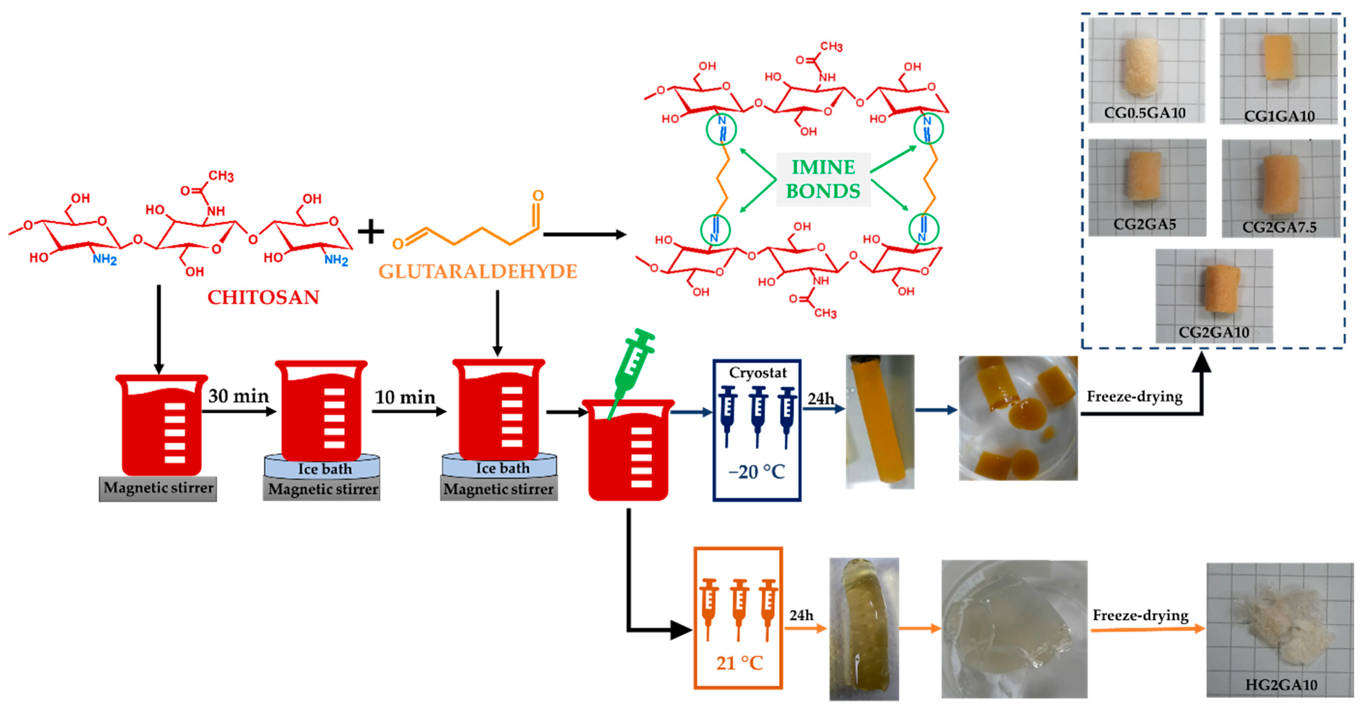 Ijms 24 04452 sch001 Ijms 24 04452 sch001