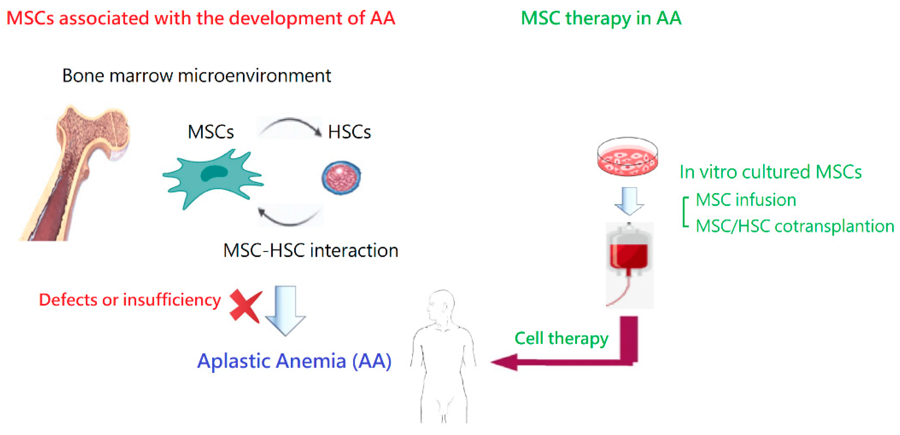 Ijms 24 04464 g004 Ijms 24 04464 g004