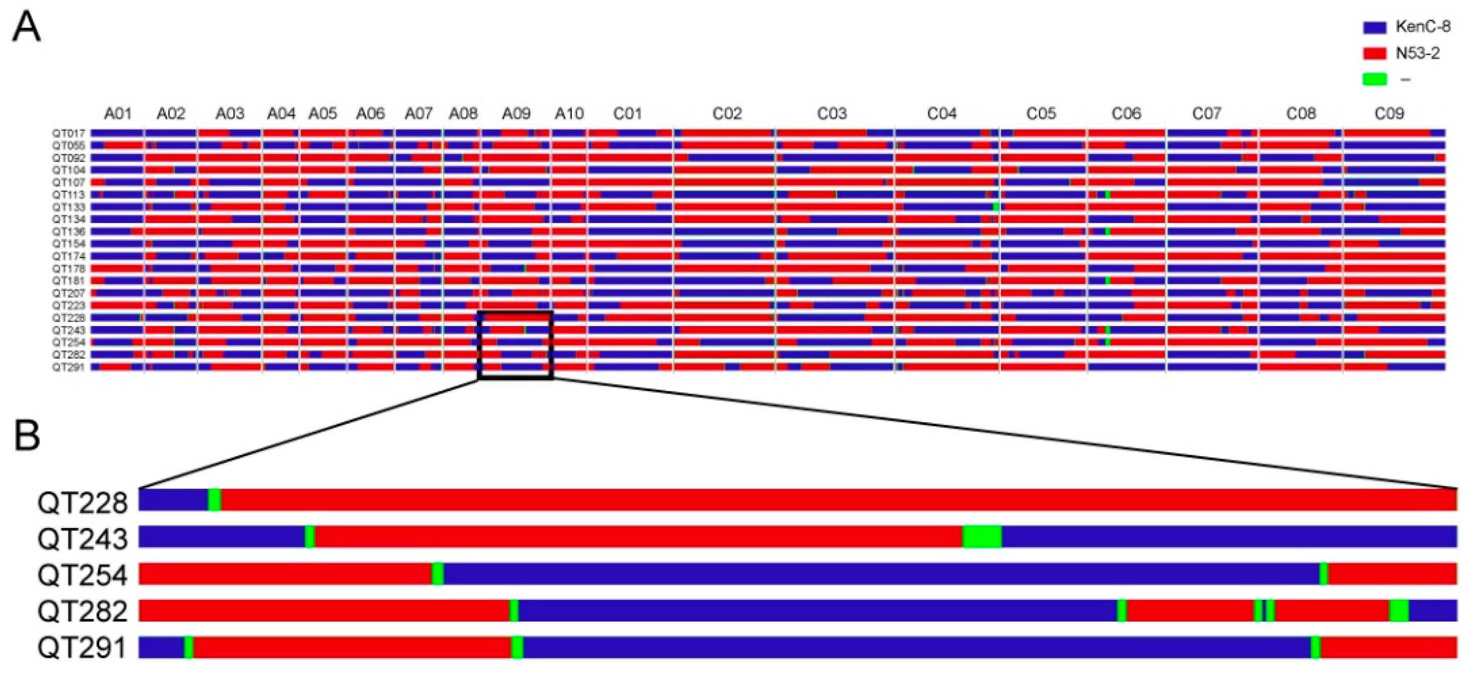 Ijms 24 04469 g001 Ijms 24 04469 g001