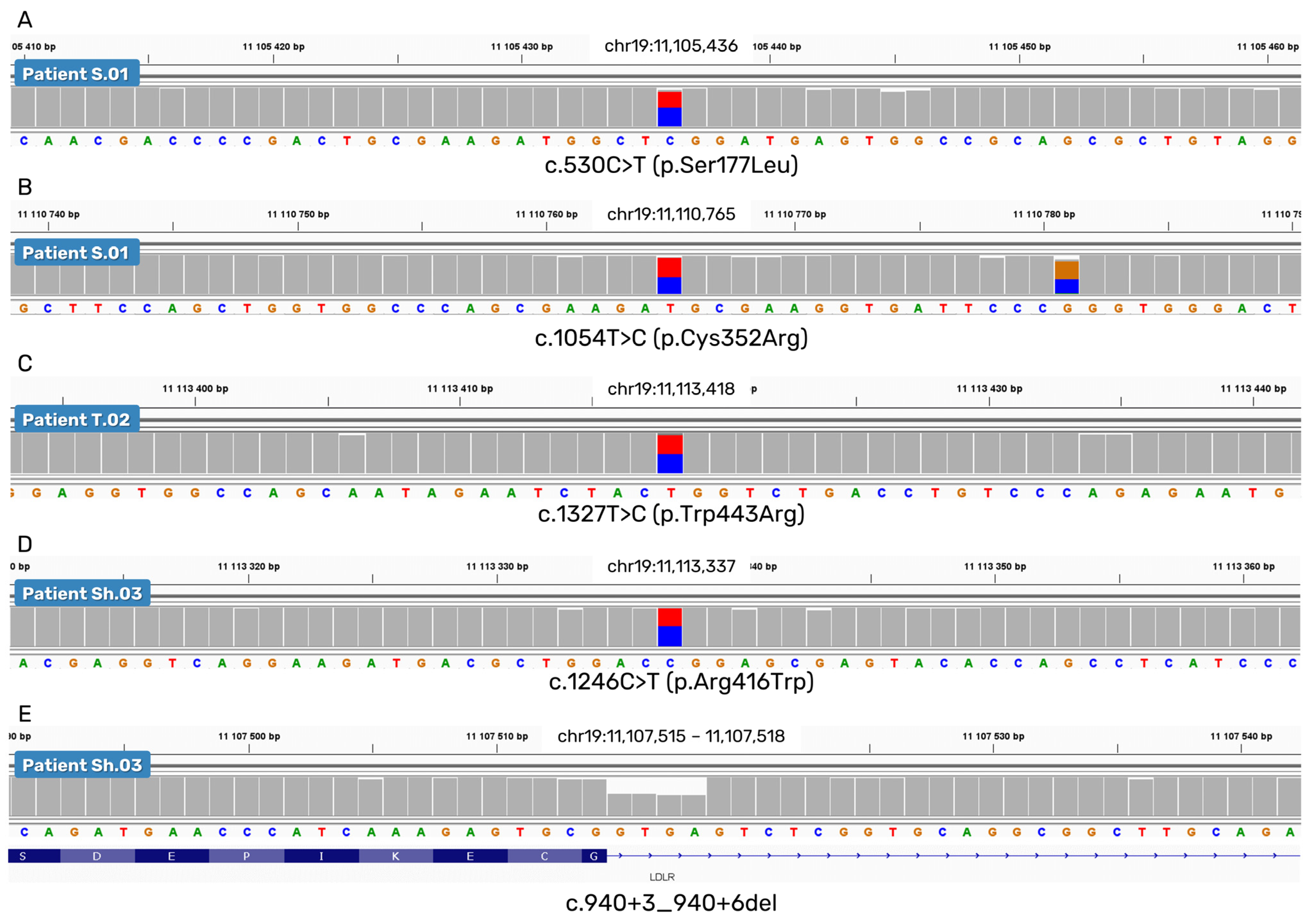 Ijms 24 04471 g002 Ijms 24 04471 g002