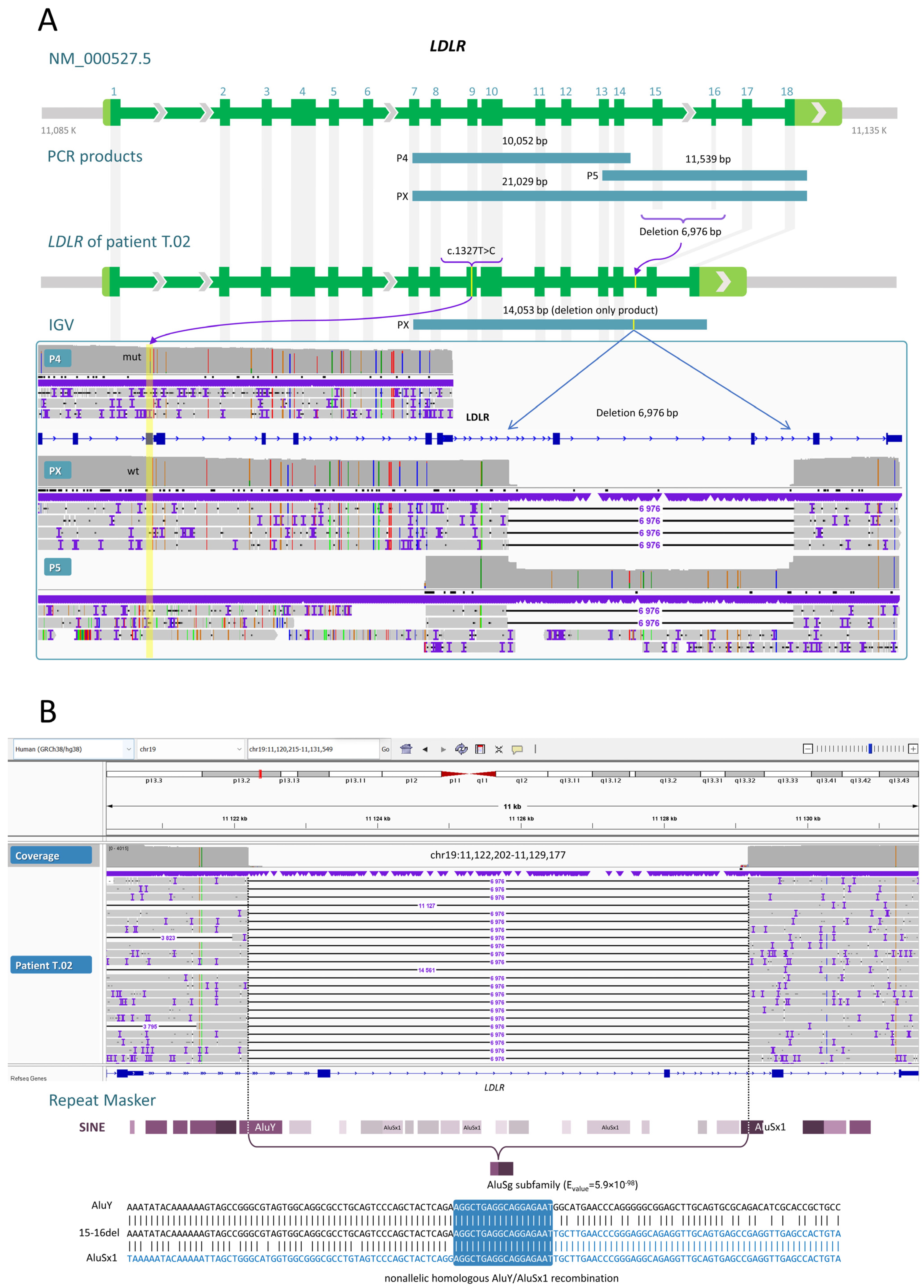 Ijms 24 04471 g003 Ijms 24 04471 g003