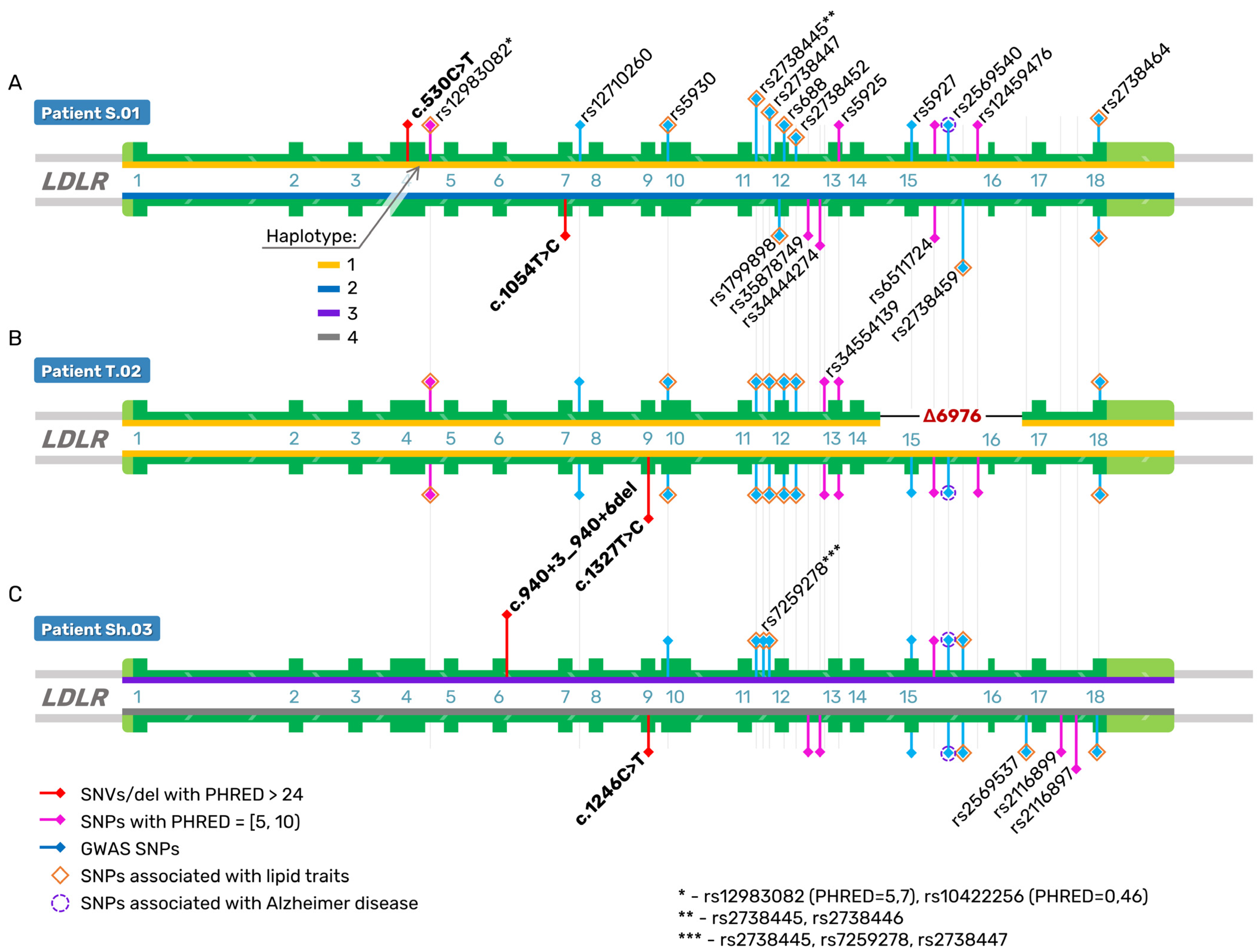 Ijms 24 04471 g004 Ijms 24 04471 g004