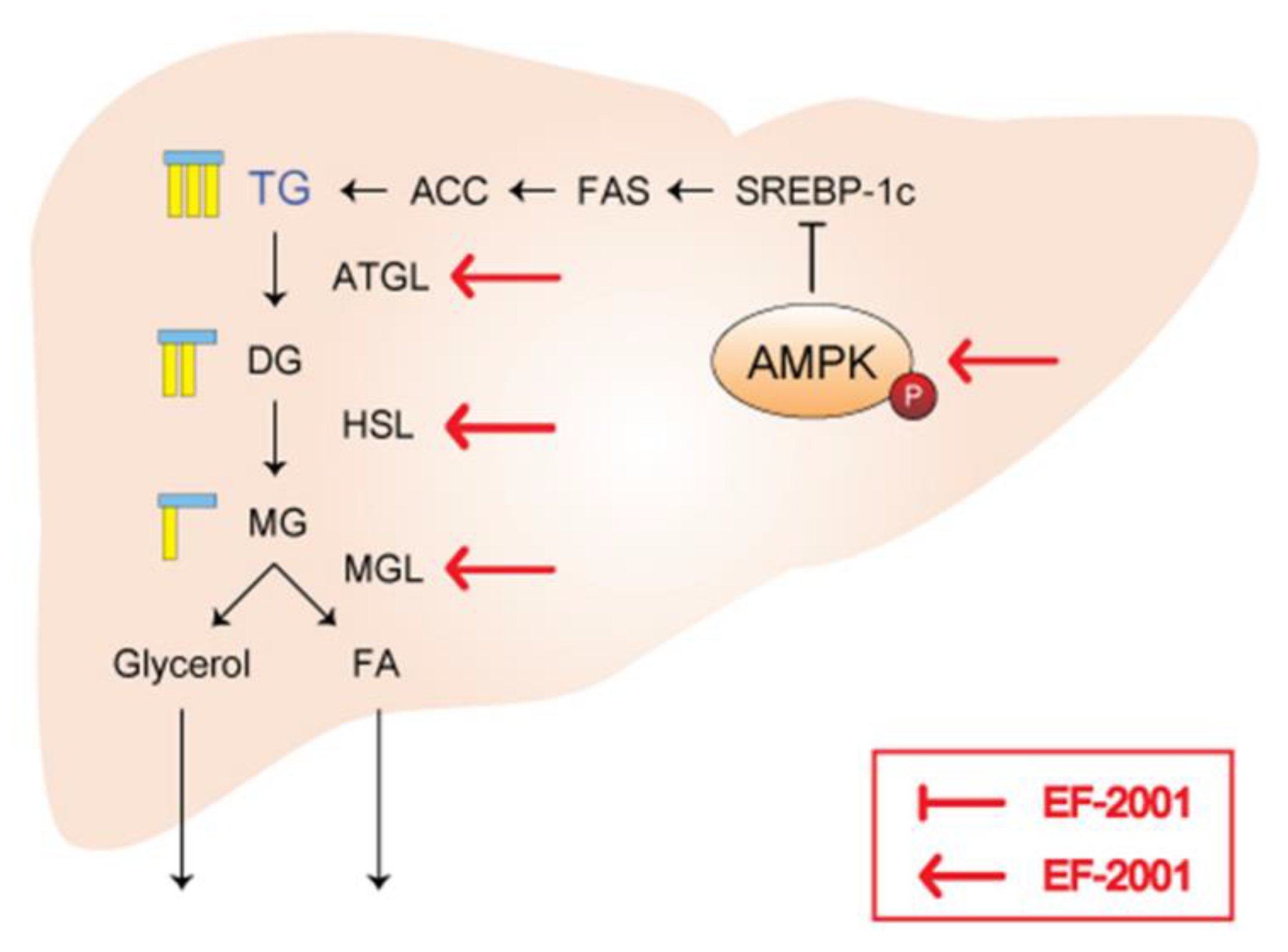 Ijms 24 04486 g009 Ijms 24 04486 g009