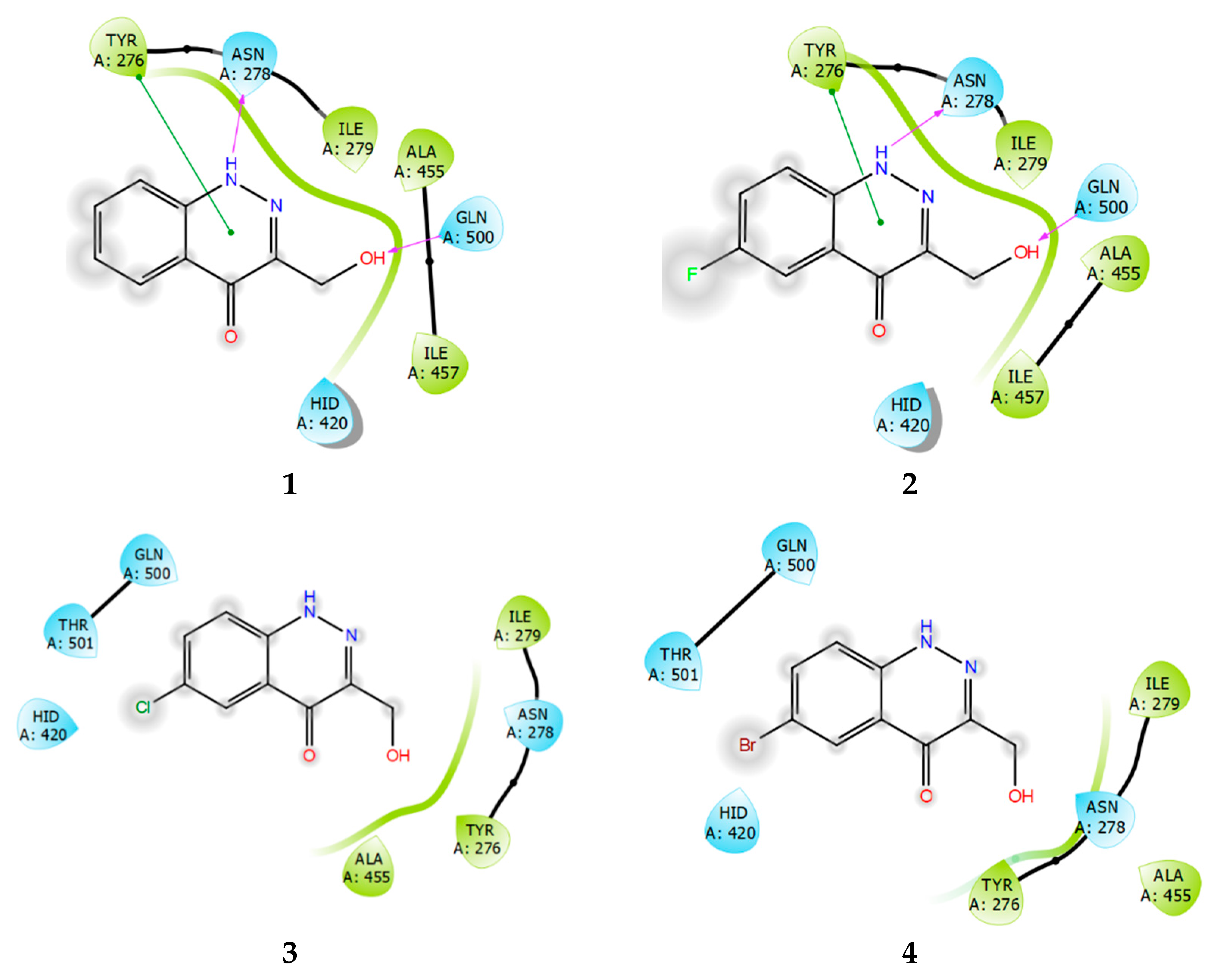 Ijms 24 04498 g011 Ijms 24 04498 g011