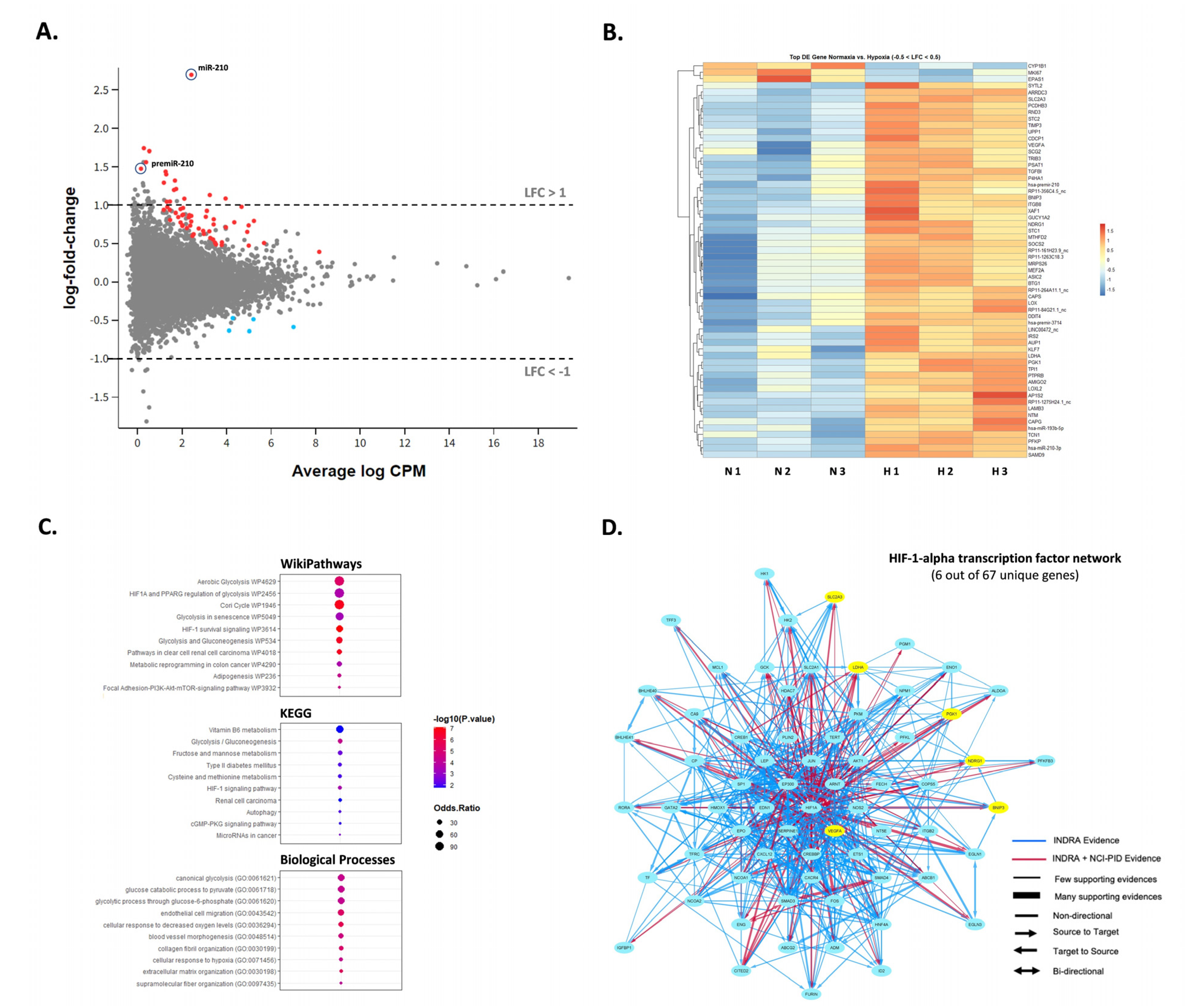 Ijms 24 04507 g003 Ijms 24 04507 g003