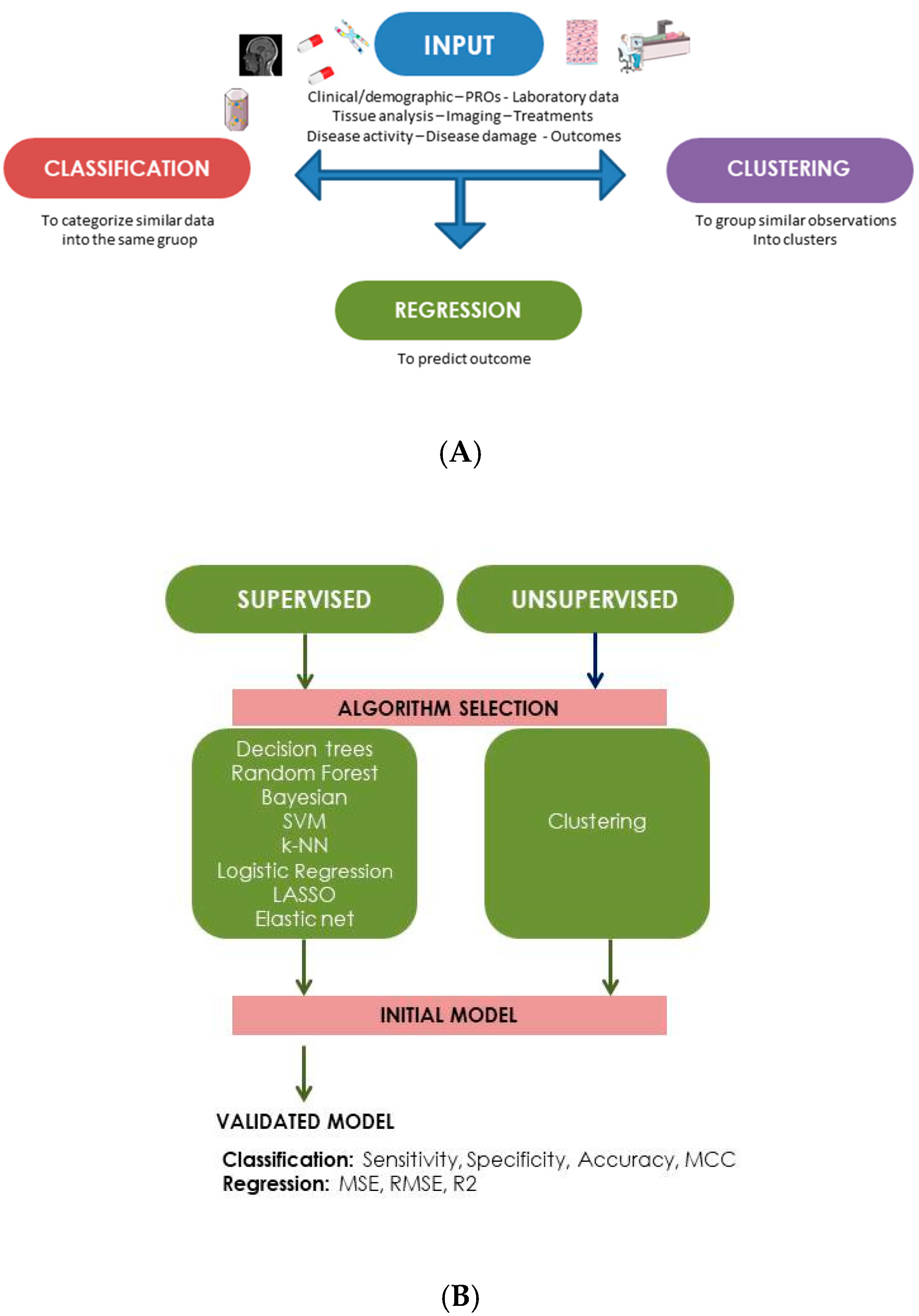 Ijms 24 04514 g002 Ijms 24 04514 g002