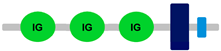 Ijms 24 04531 i014 Ijms 24 04531 i014