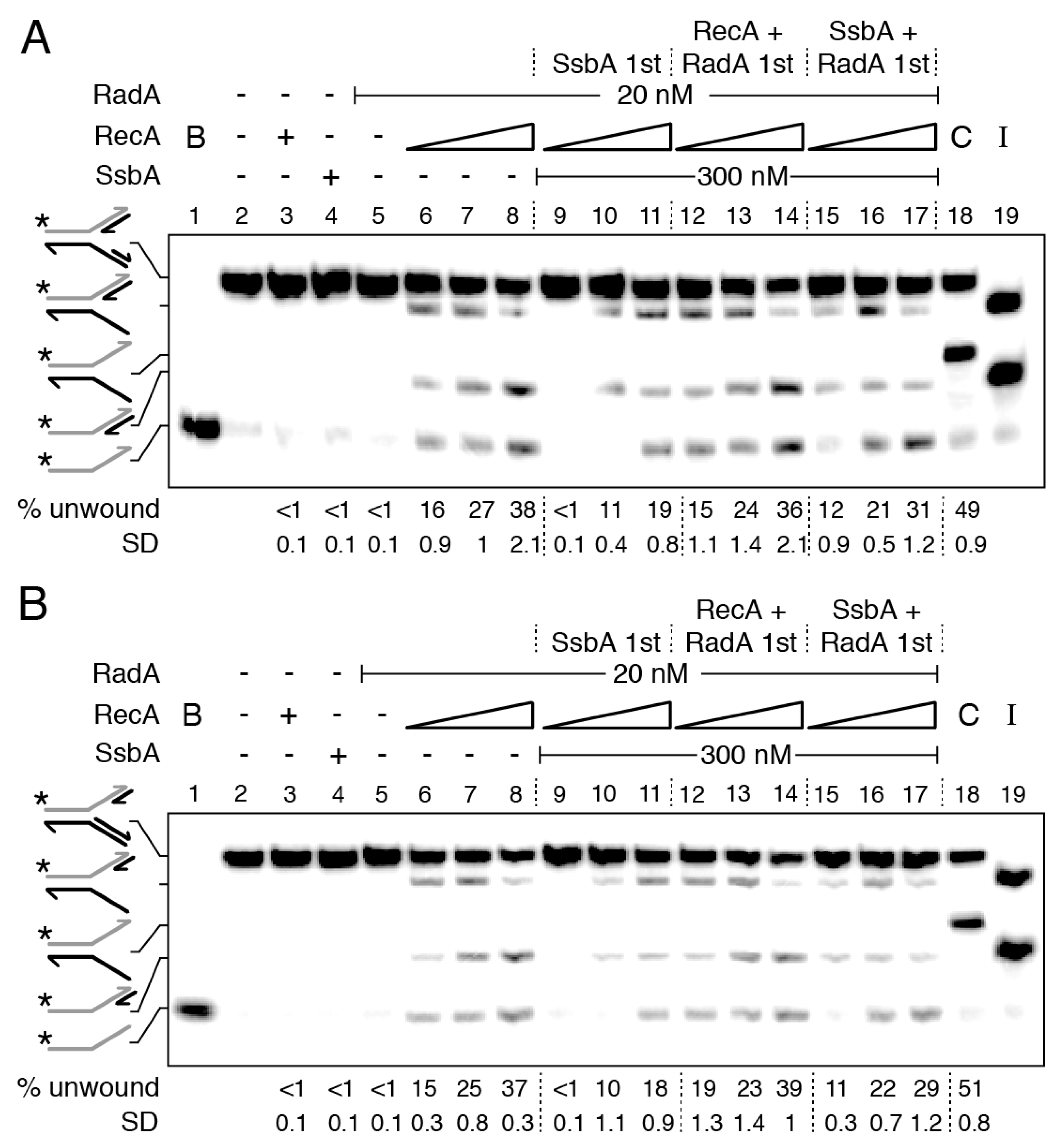 Ijms 24 04536 g005 Ijms 24 04536 g005