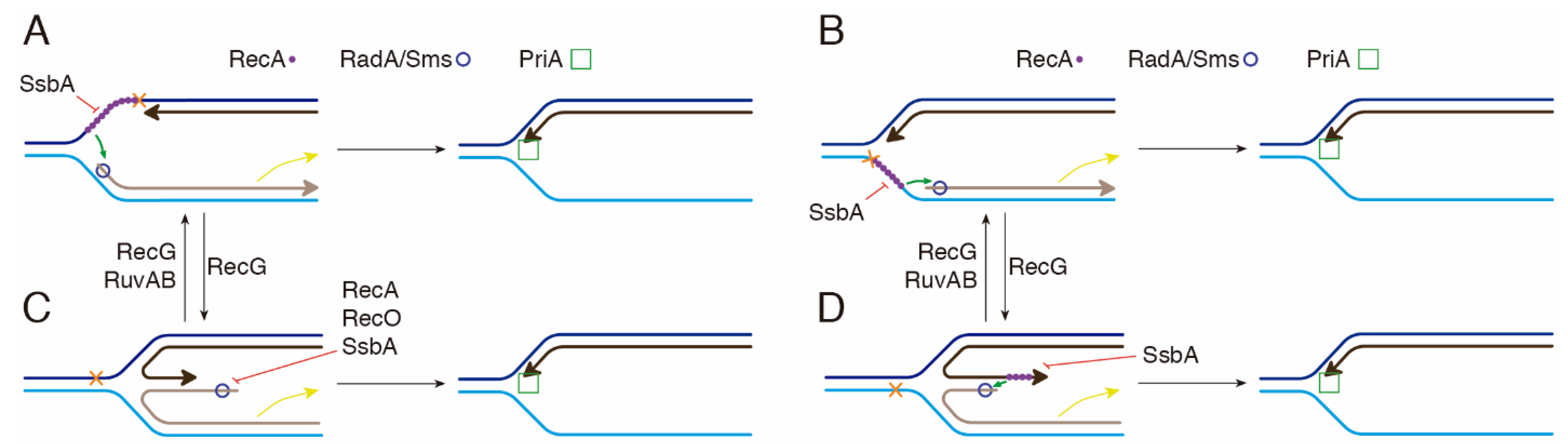 Ijms 24 04536 g006 Ijms 24 04536 g006