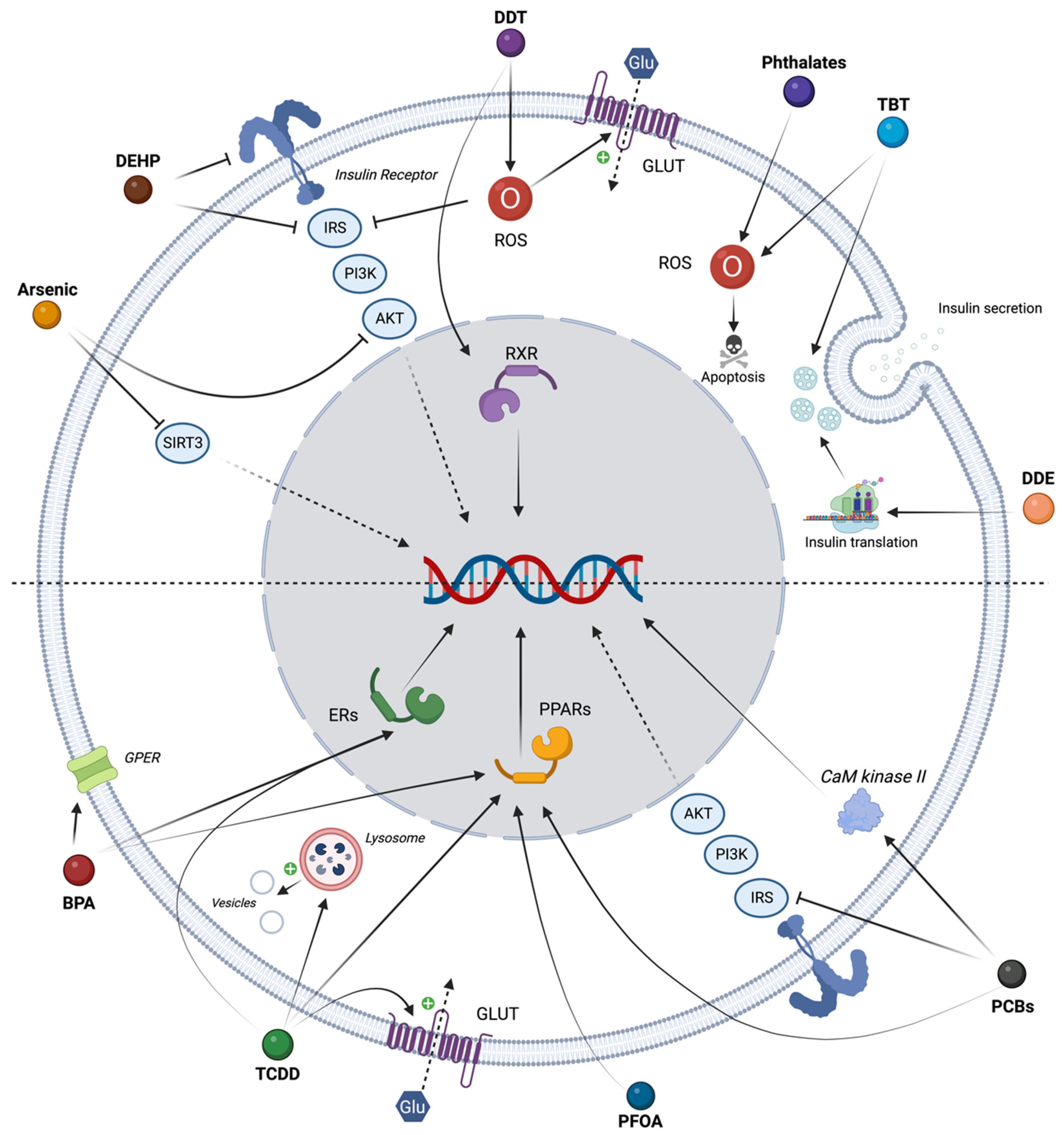 Ijms 24 04537 g002 Ijms 24 04537 g002