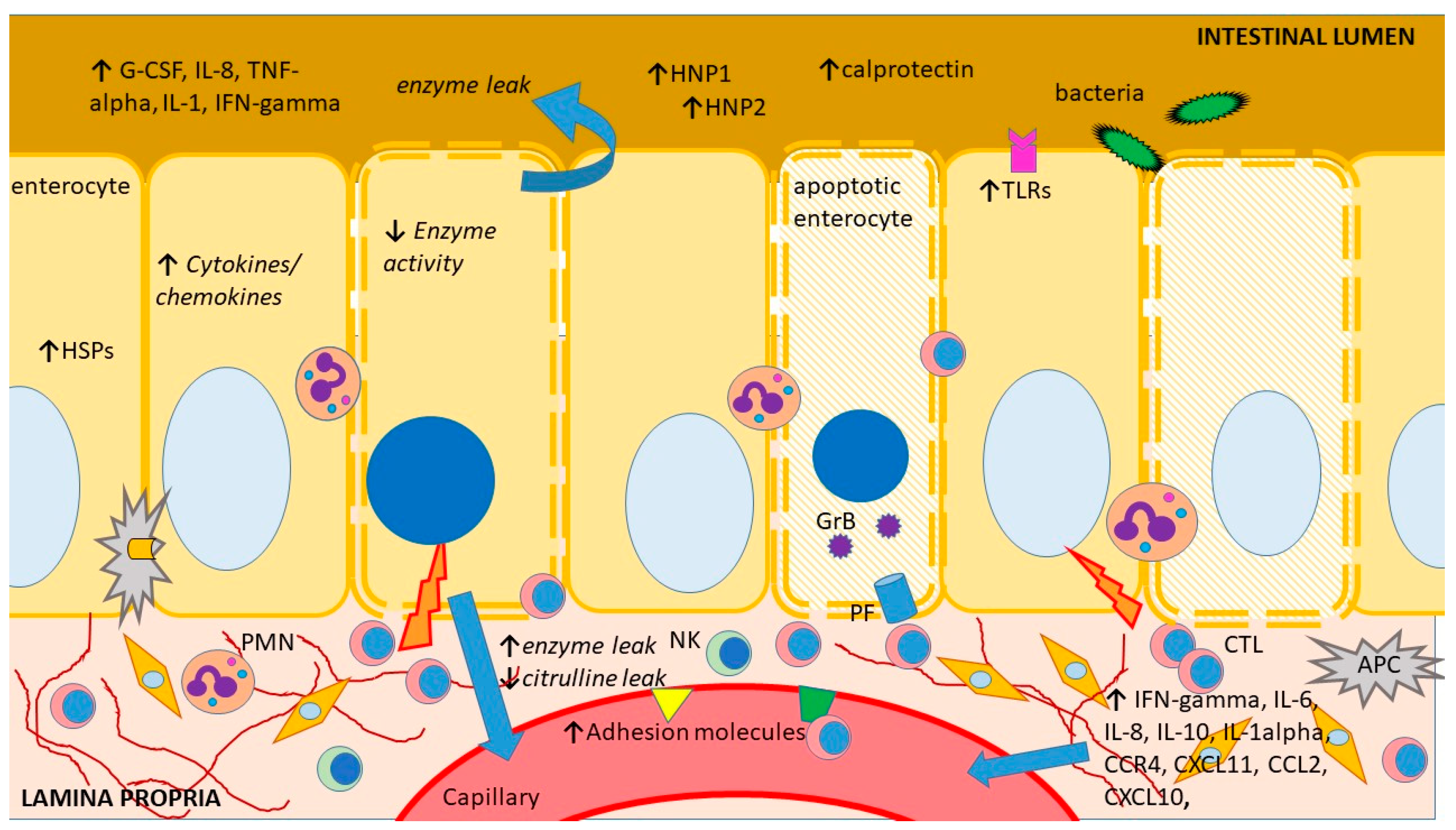 Ijms 24 04541 g002 Ijms 24 04541 g002