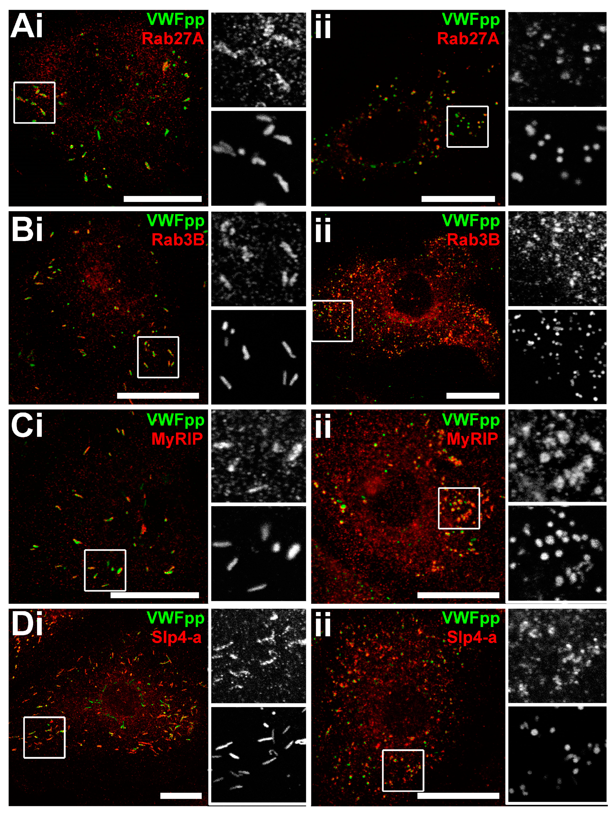 Ijms 24 04553 g002 Ijms 24 04553 g002