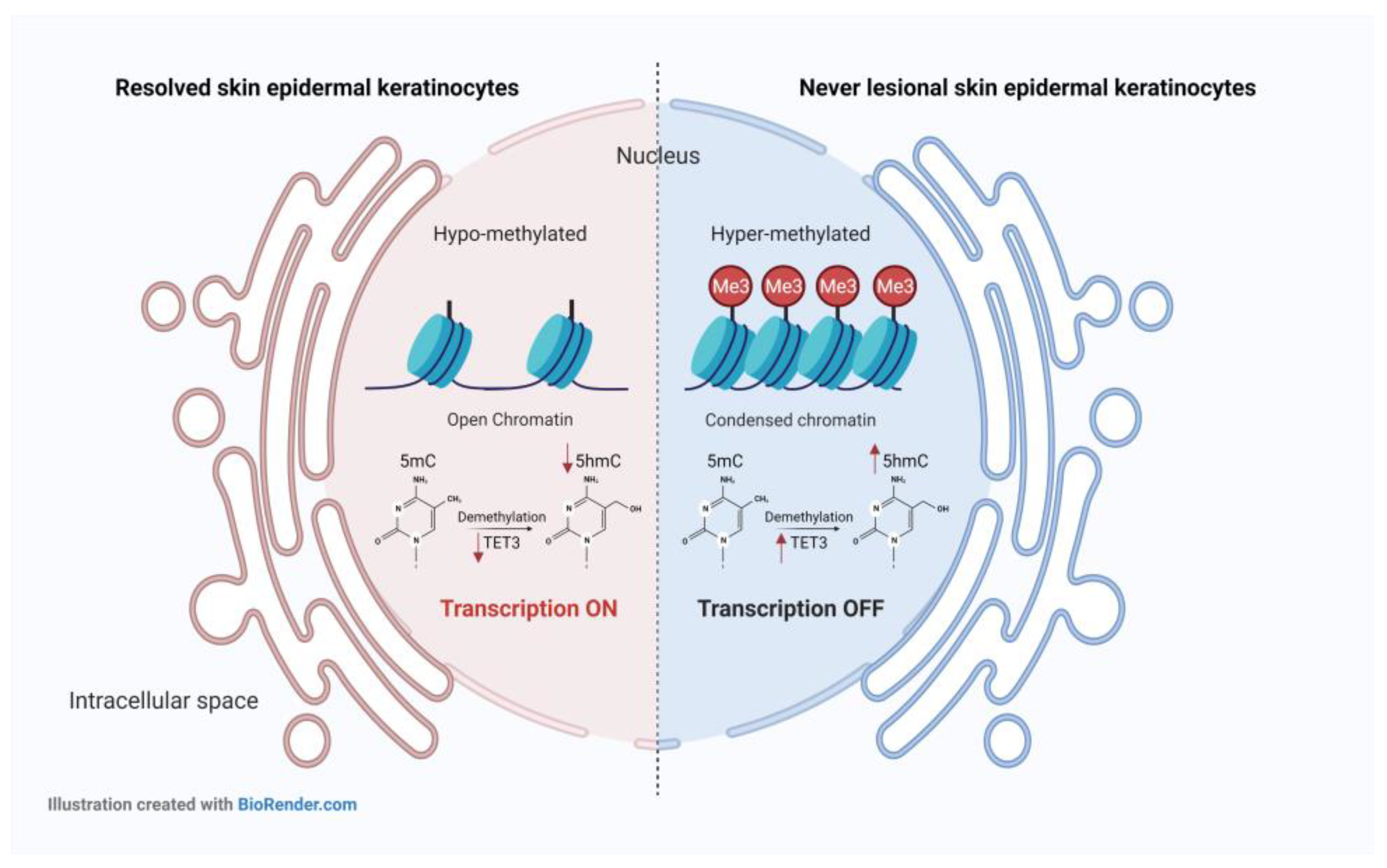 Ijms 24 04556 g008 Ijms 24 04556 g008