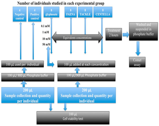 IJMS | Free Full-Text | Assessment Of Genetic Damage Induced Via ...