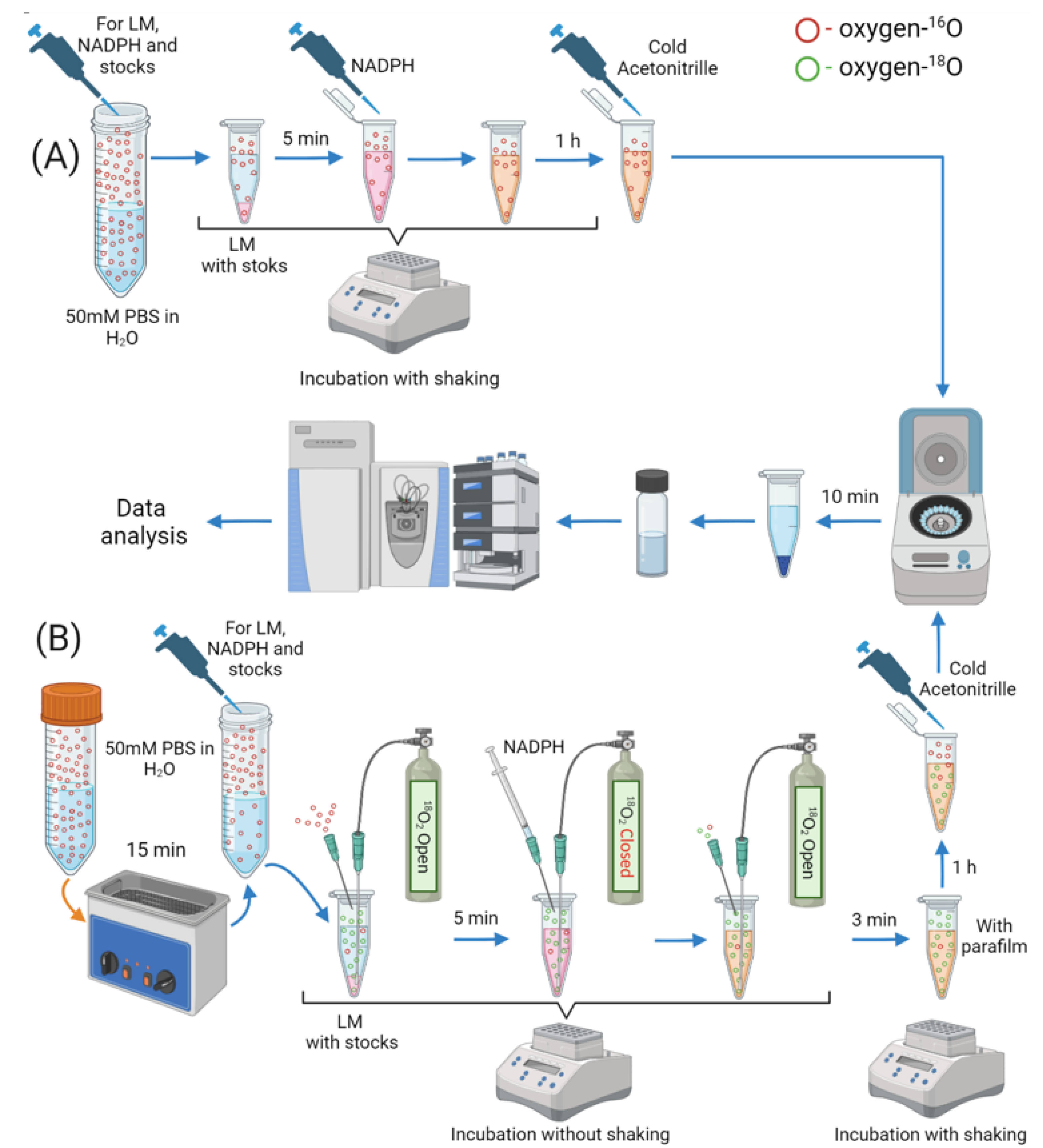 IJMS | Free Full-Text | Simple In Vitro 18O Labeling for Improved Mass ...