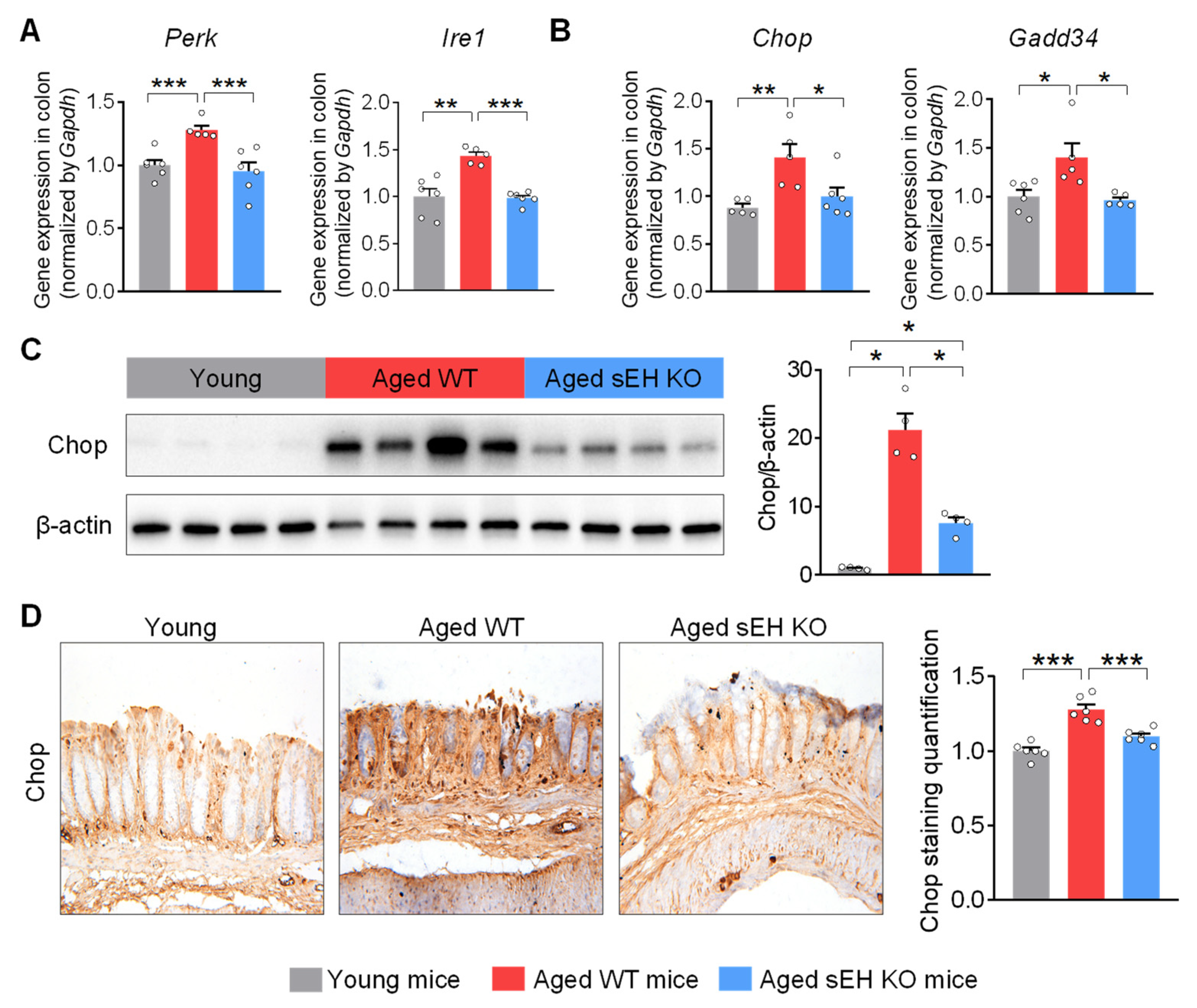 Ijms 24 04570 g003 Ijms 24 04570 g003