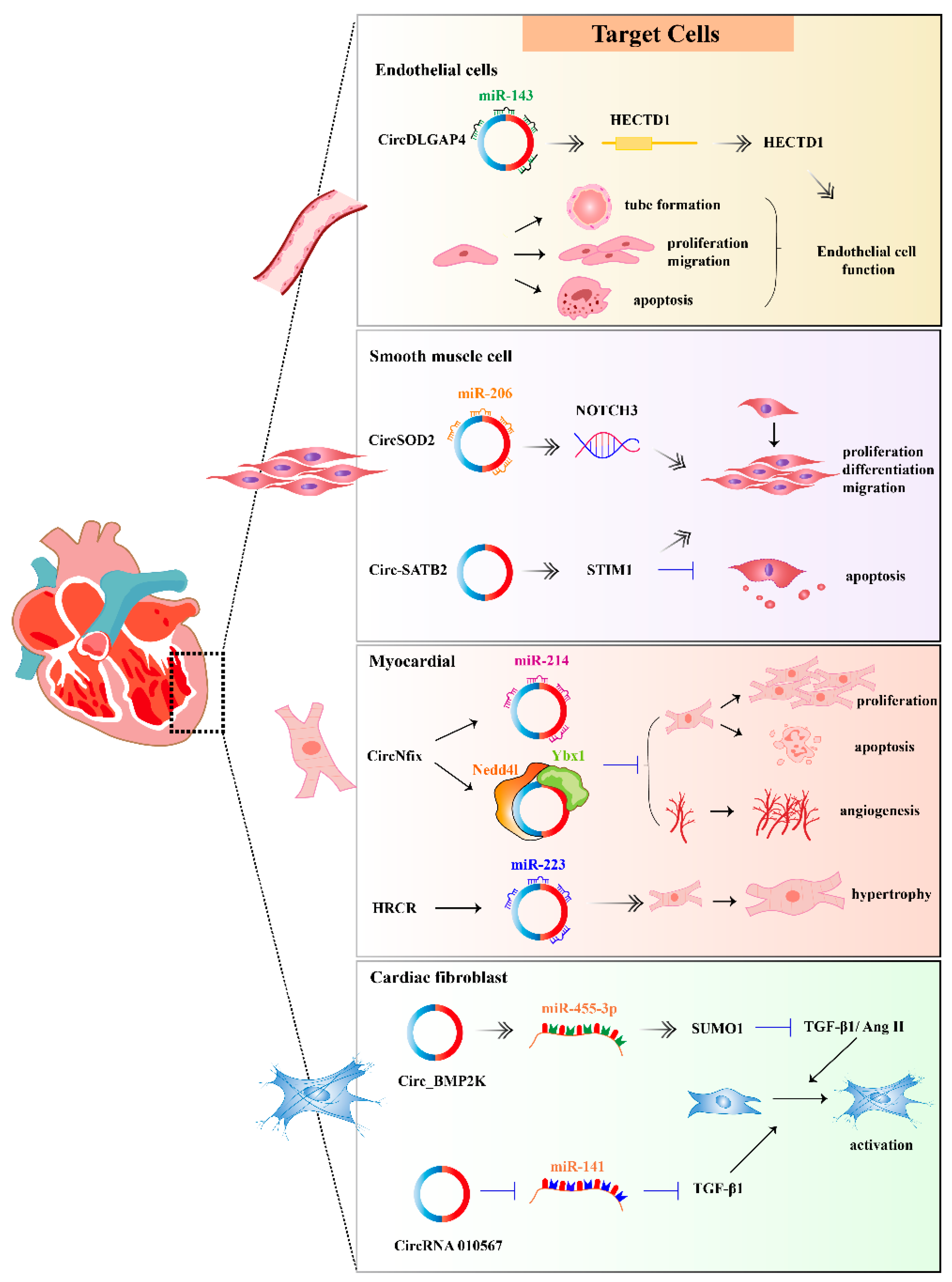 Ijms 24 04571 g002 Ijms 24 04571 g002