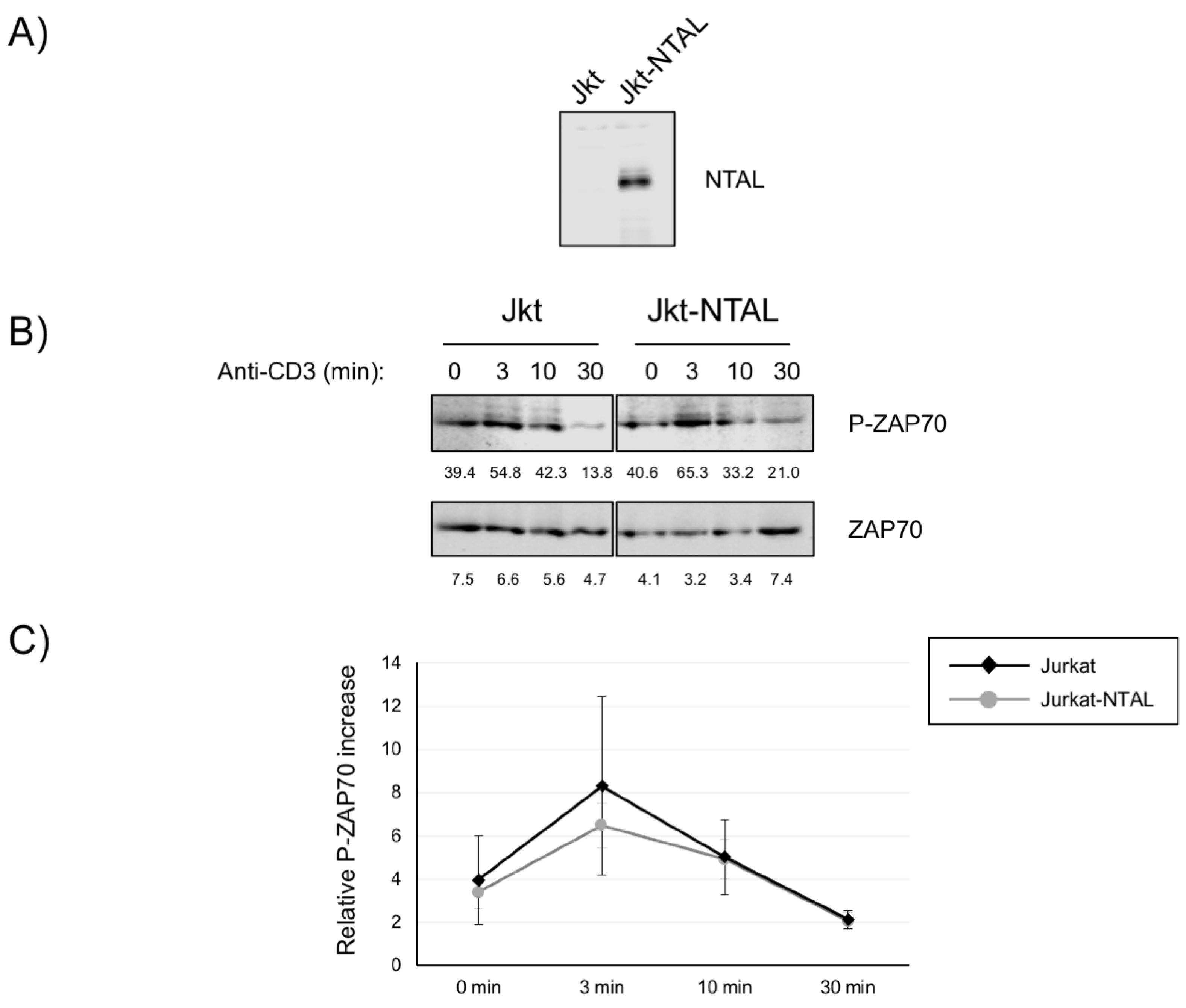 Ijms 24 04574 g001 Ijms 24 04574 g001