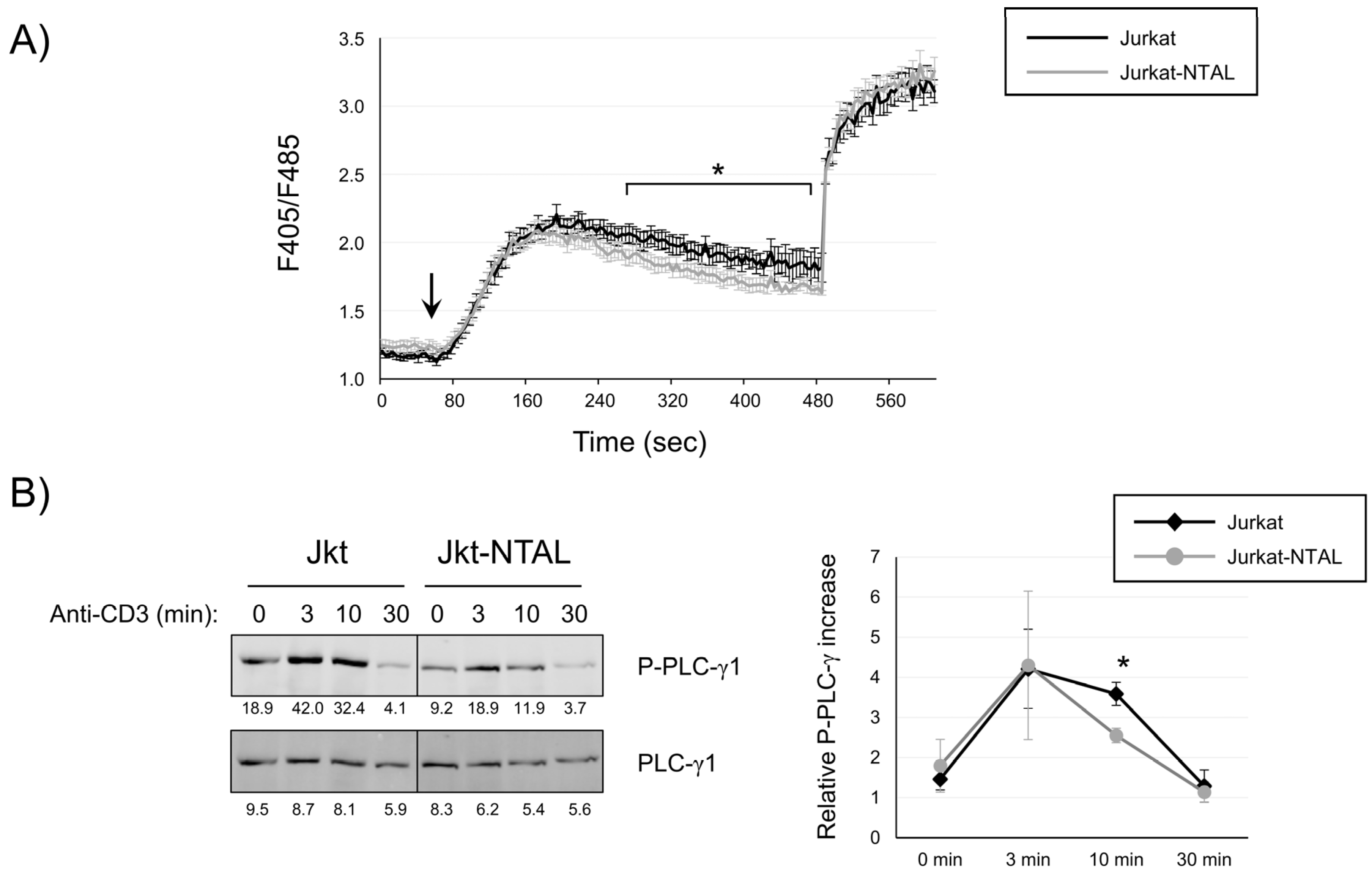 Ijms 24 04574 g002 Ijms 24 04574 g002