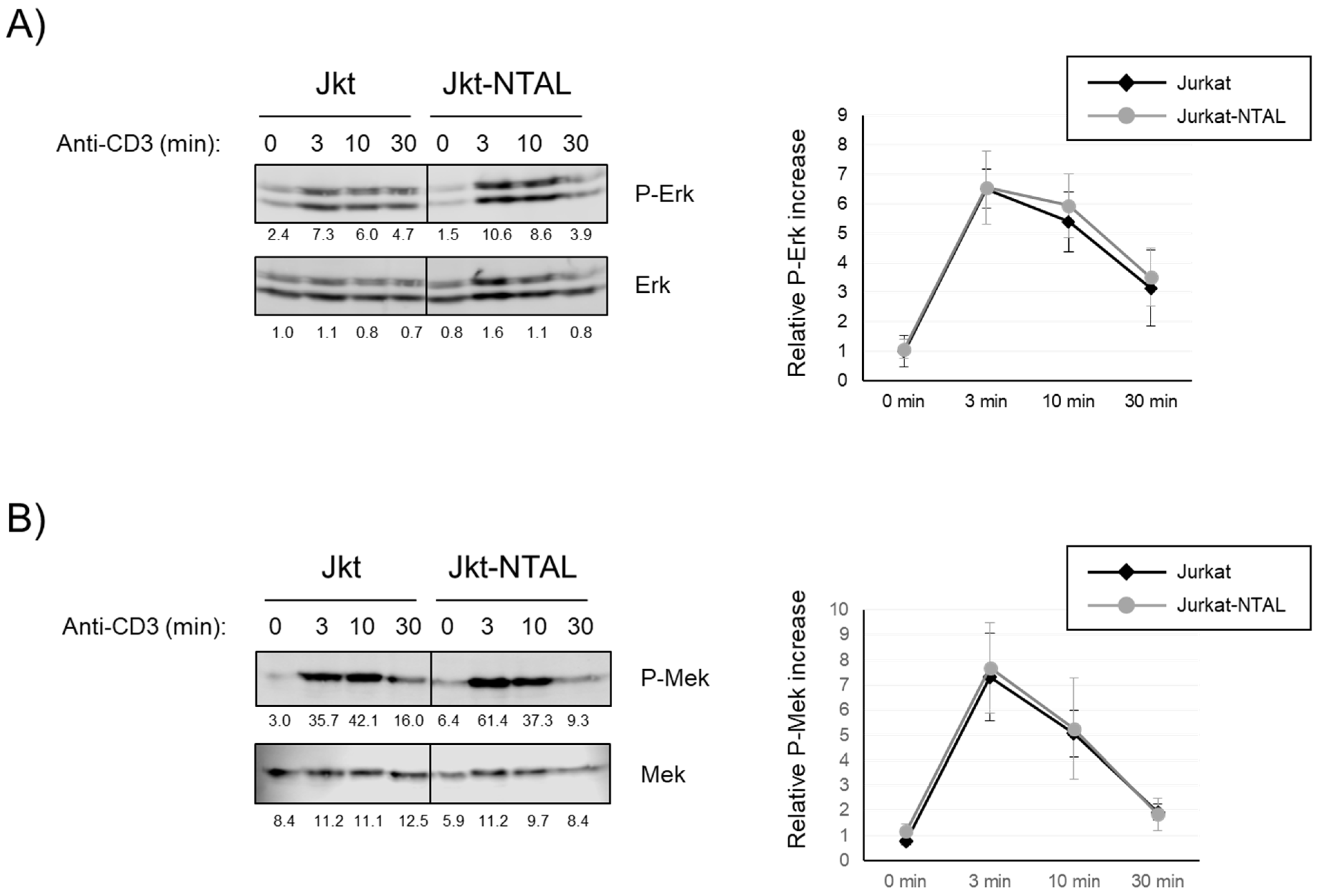 Ijms 24 04574 g003 Ijms 24 04574 g003