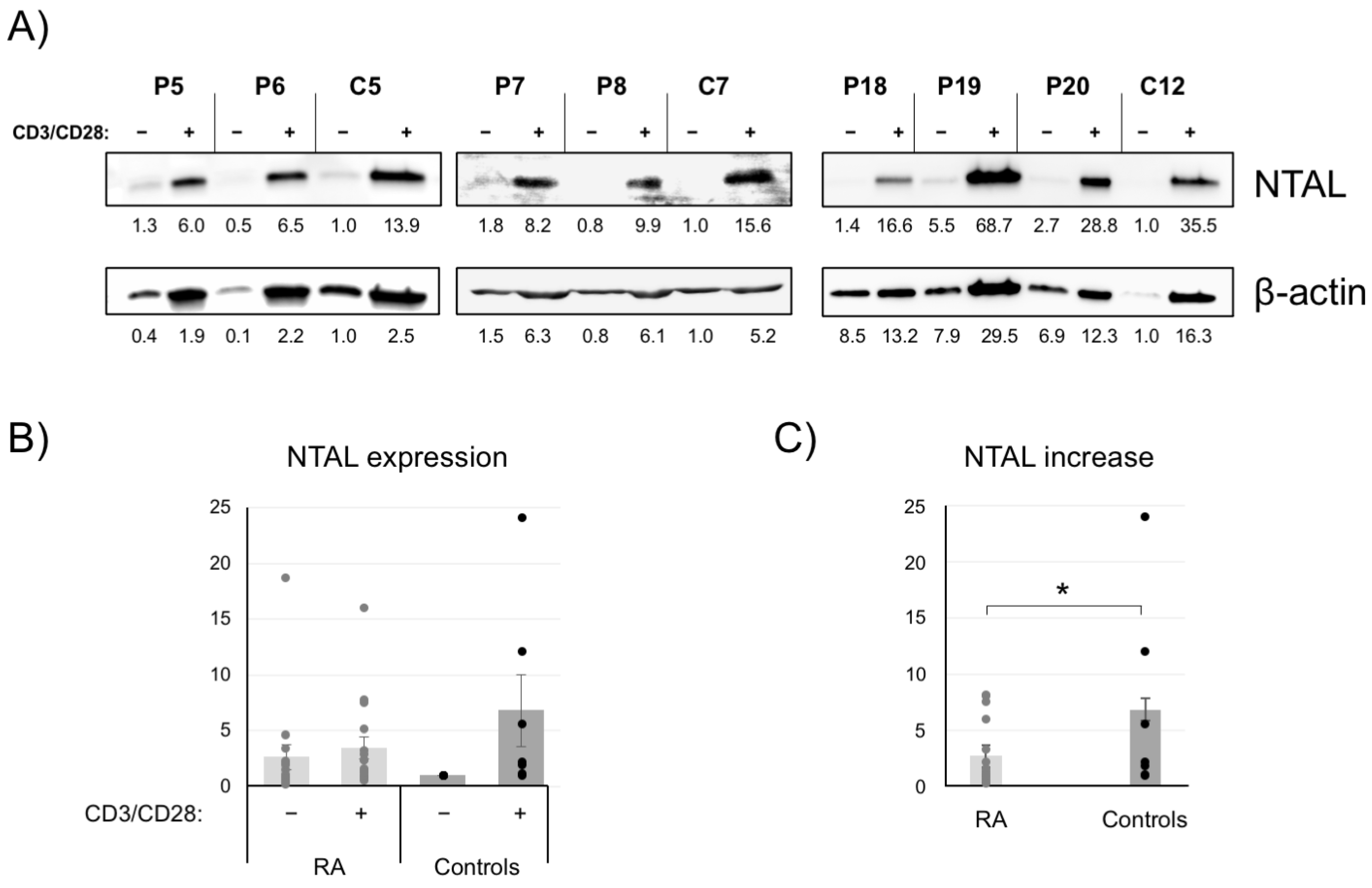 Ijms 24 04574 g004 Ijms 24 04574 g004